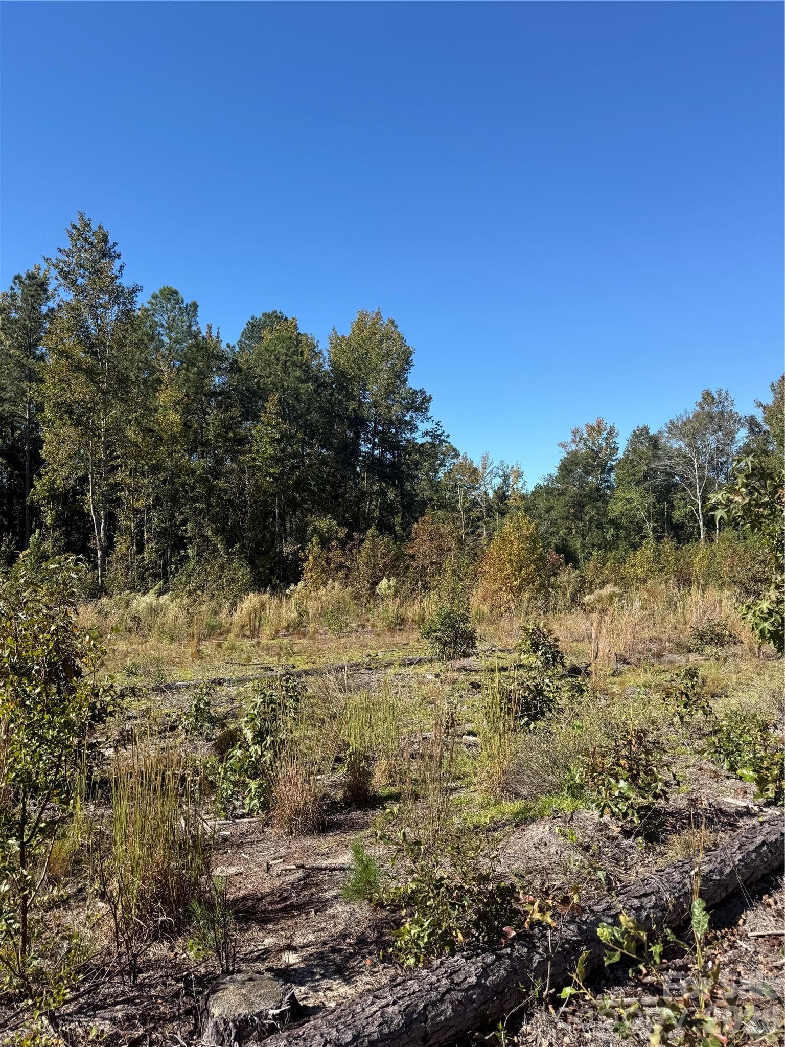 Acreage at TBD Rock House Road, Mount Croghan, photo 3 of 5