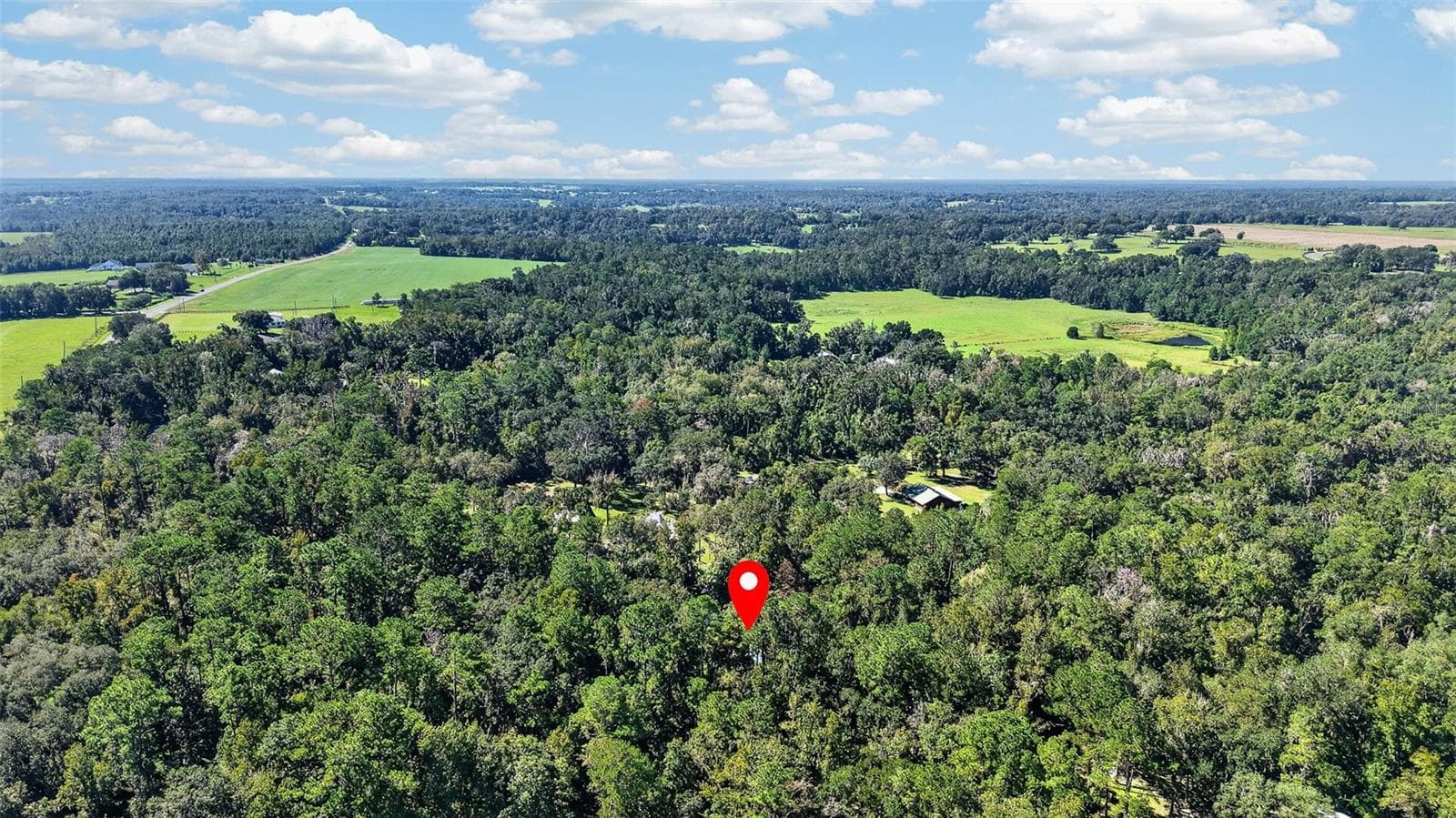 Single Family Residence at 2321 SPRING LAKE HWY, BROOKSVILLE, photo 62 of 69