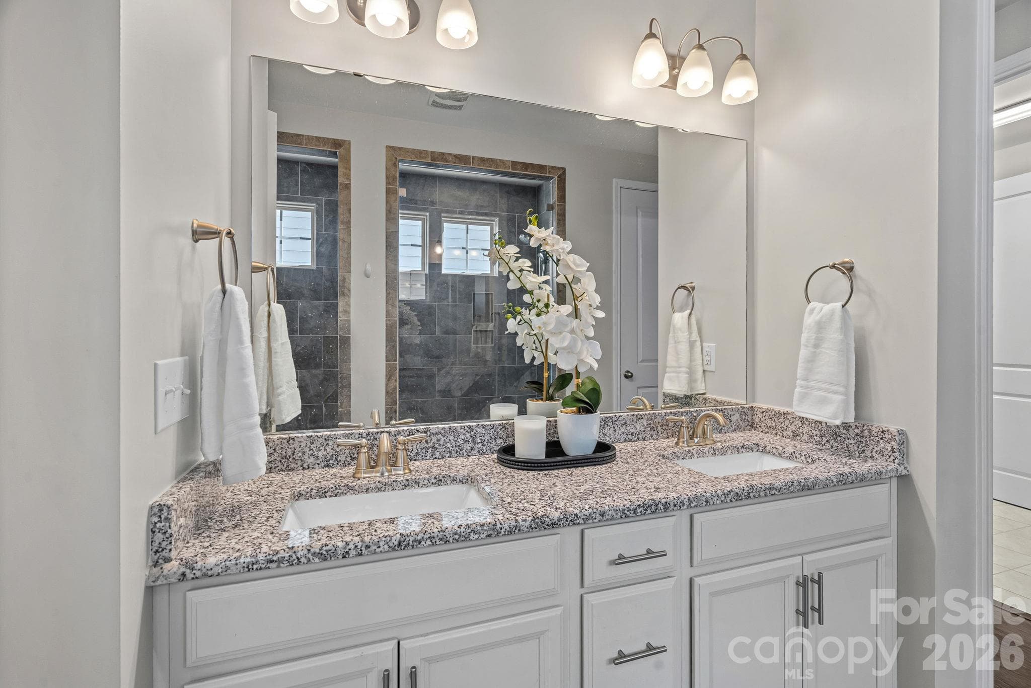 Single Family Residence at 11237 Black Brant Lane, Charlotte, photo 14 of 34