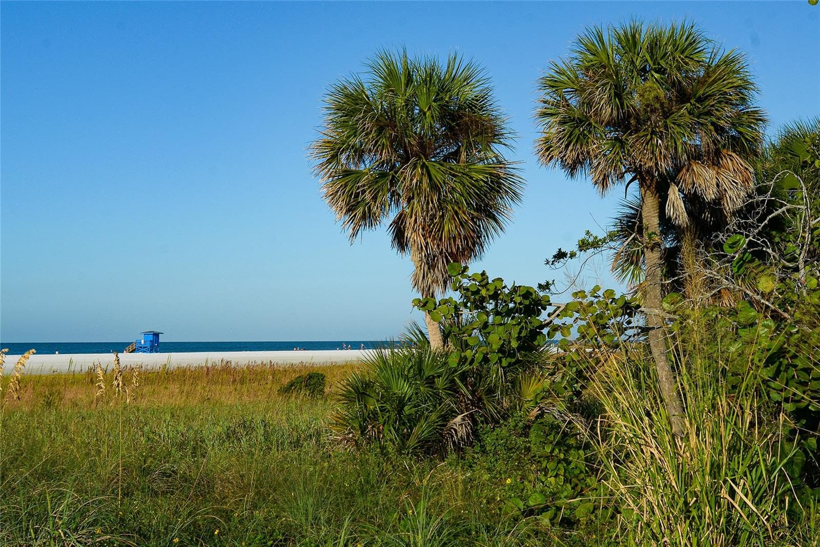 Condominium at 1634 STICKNEY POINT RD #34-202, SARASOTA, photo 52 of 58