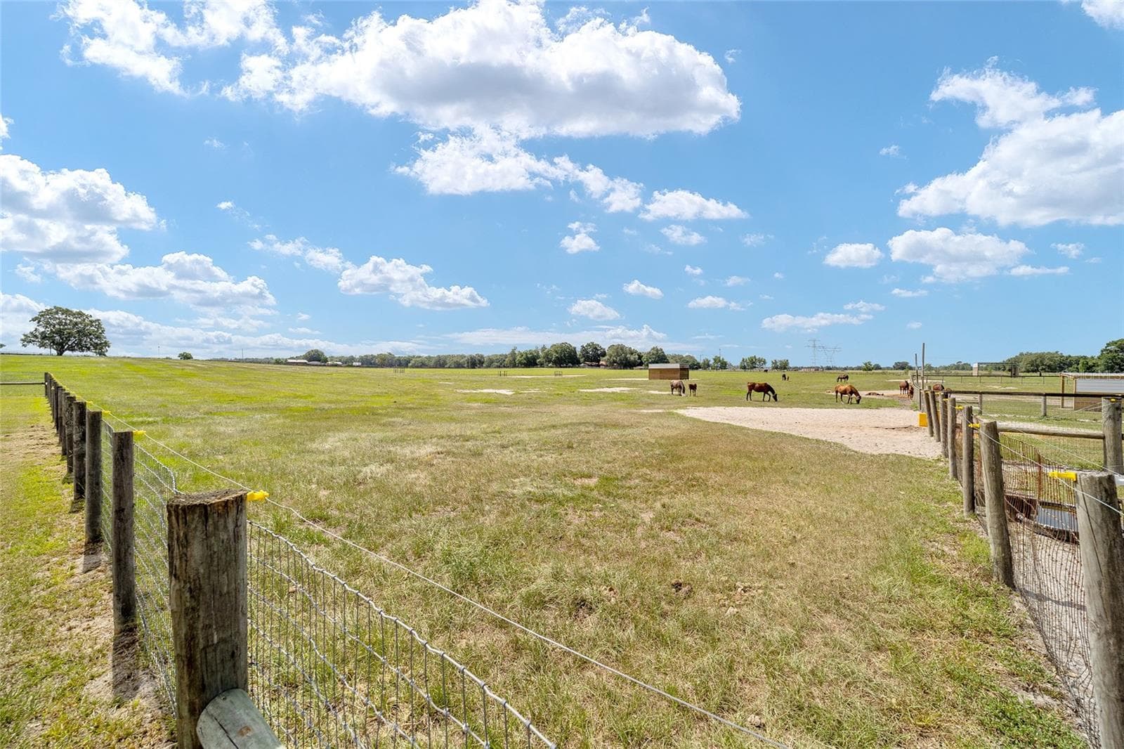 Land at 1177 NW 102ND BLVD #Option 1, WILDWOOD, photo 12 of 15