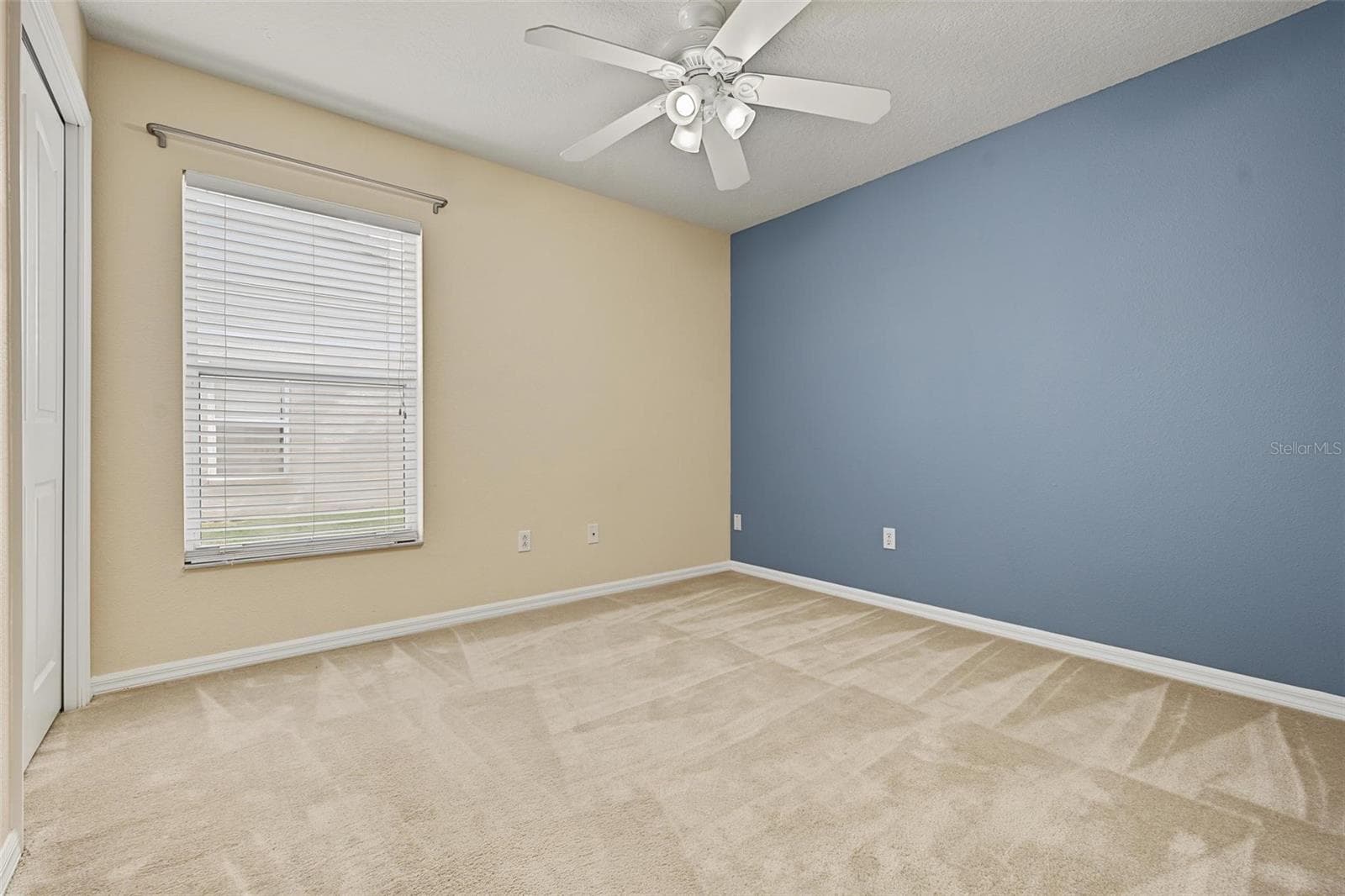 Bedroom 3 - 5809 BLACK WALNUT CT, TAMPA