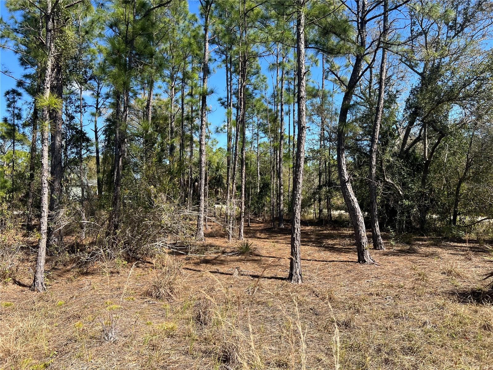 Land at 28019 TREADMILL DR, PUNTA GORDA, photo 2 of 6