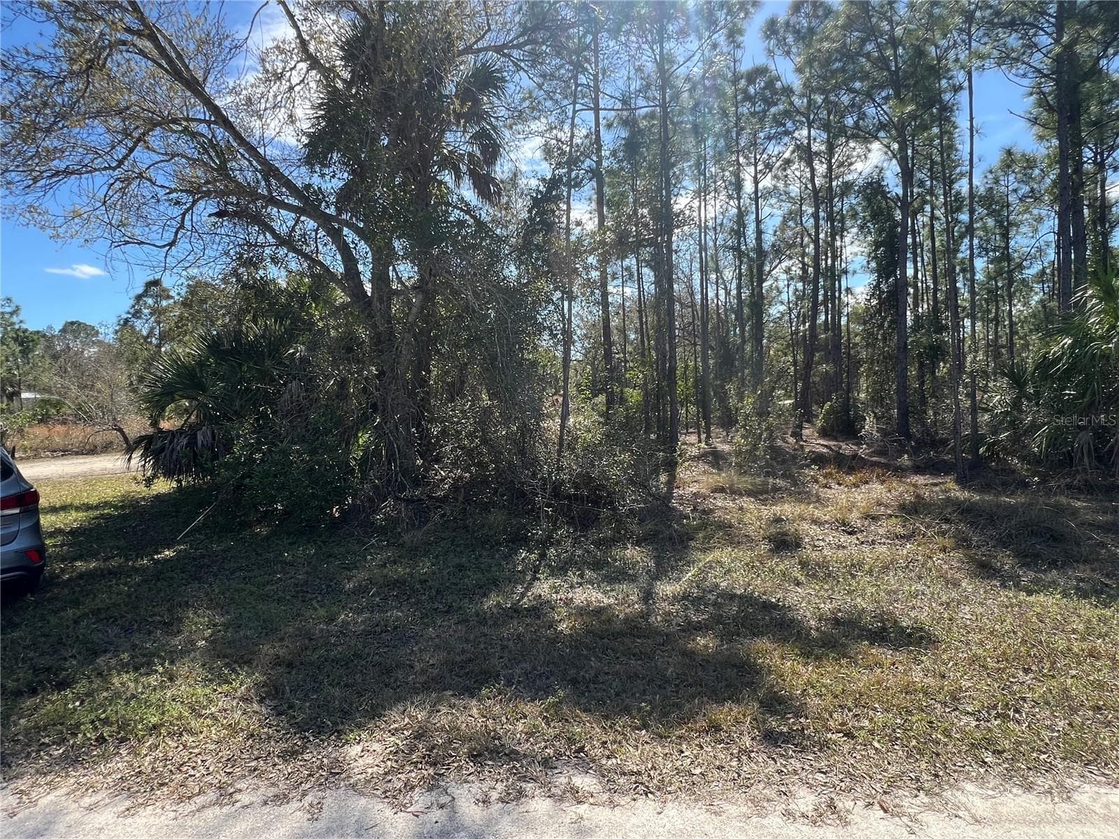 Land at 28019 TREADMILL DR, PUNTA GORDA, photo 4 of 6