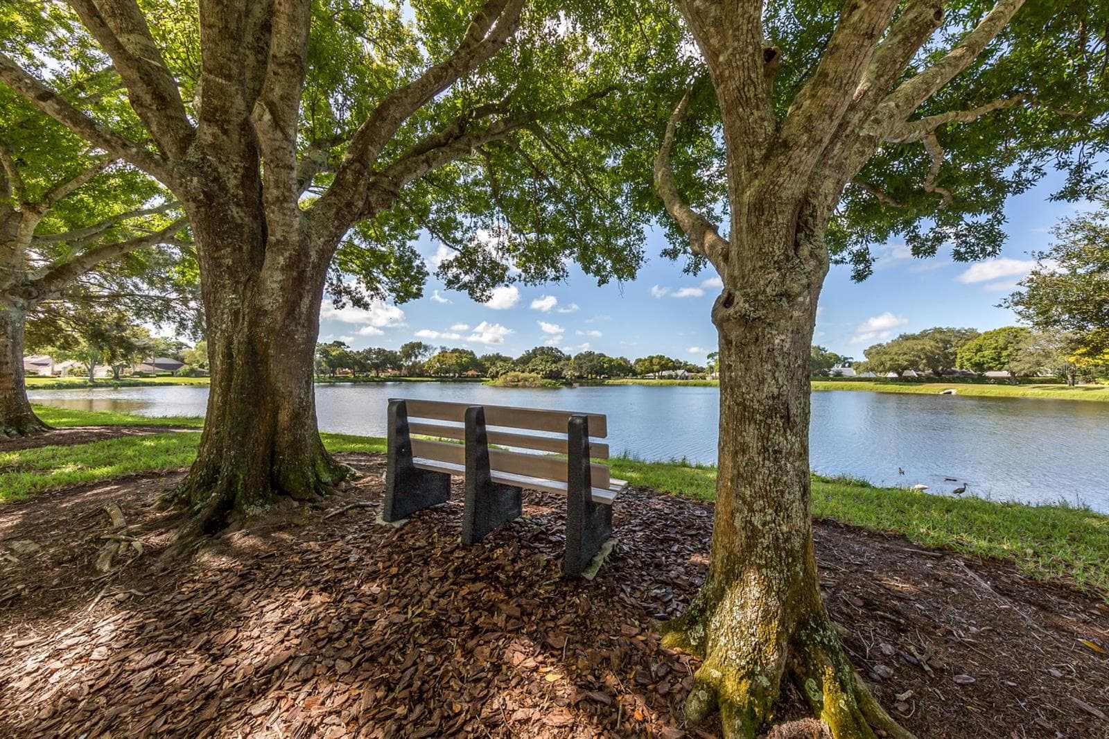 Single Family Residence at 443 BERMUDA ISLES CIR, VENICE, photo 52 of 78