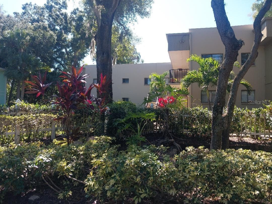 View from Side of Bldg. - 3300 FOX CHASE CIR N #201, PALM HARBOR