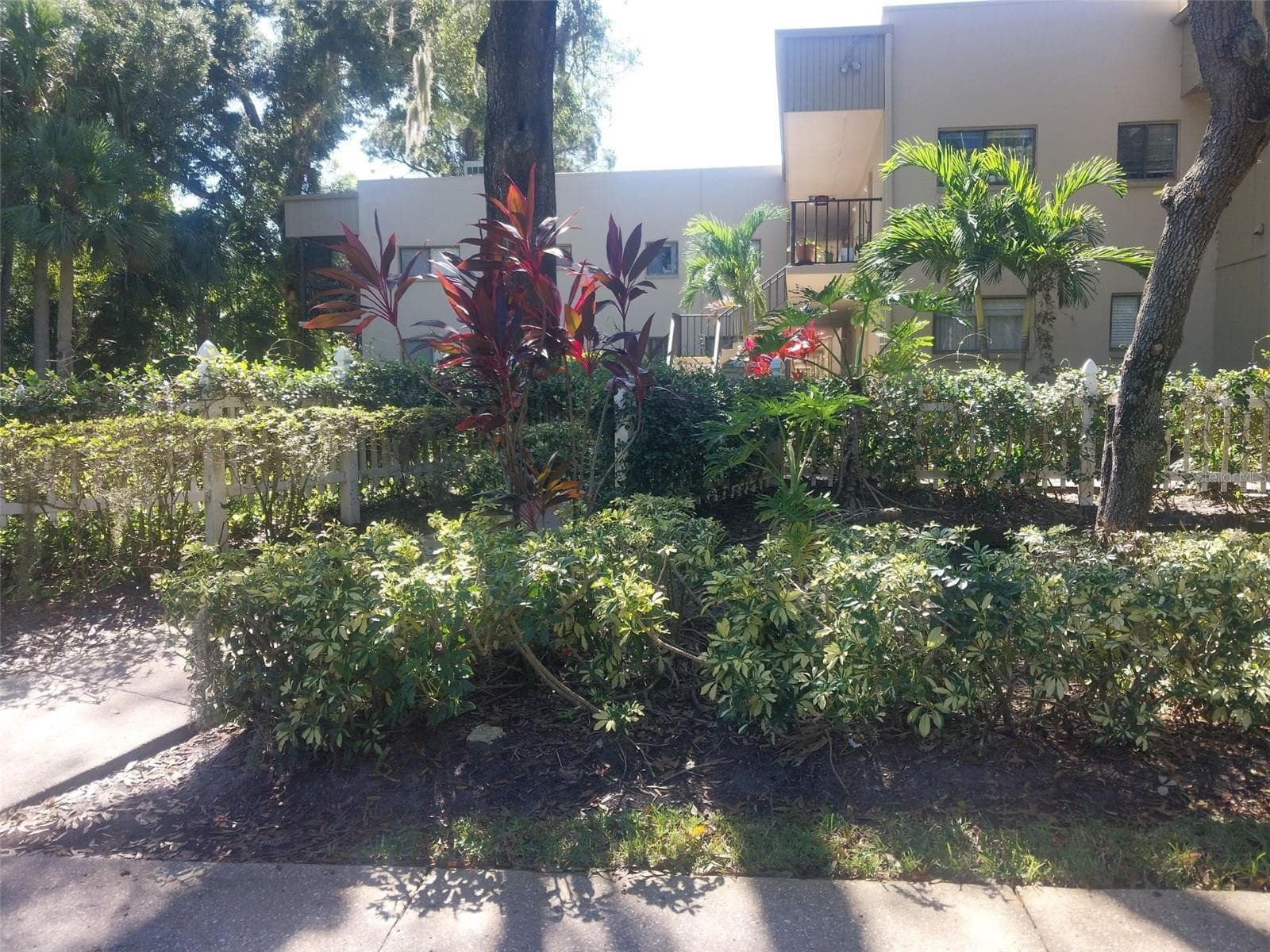 Sidewalk from Parking Space to Unit! - 3300 FOX CHASE CIR N #201, PALM HARBOR