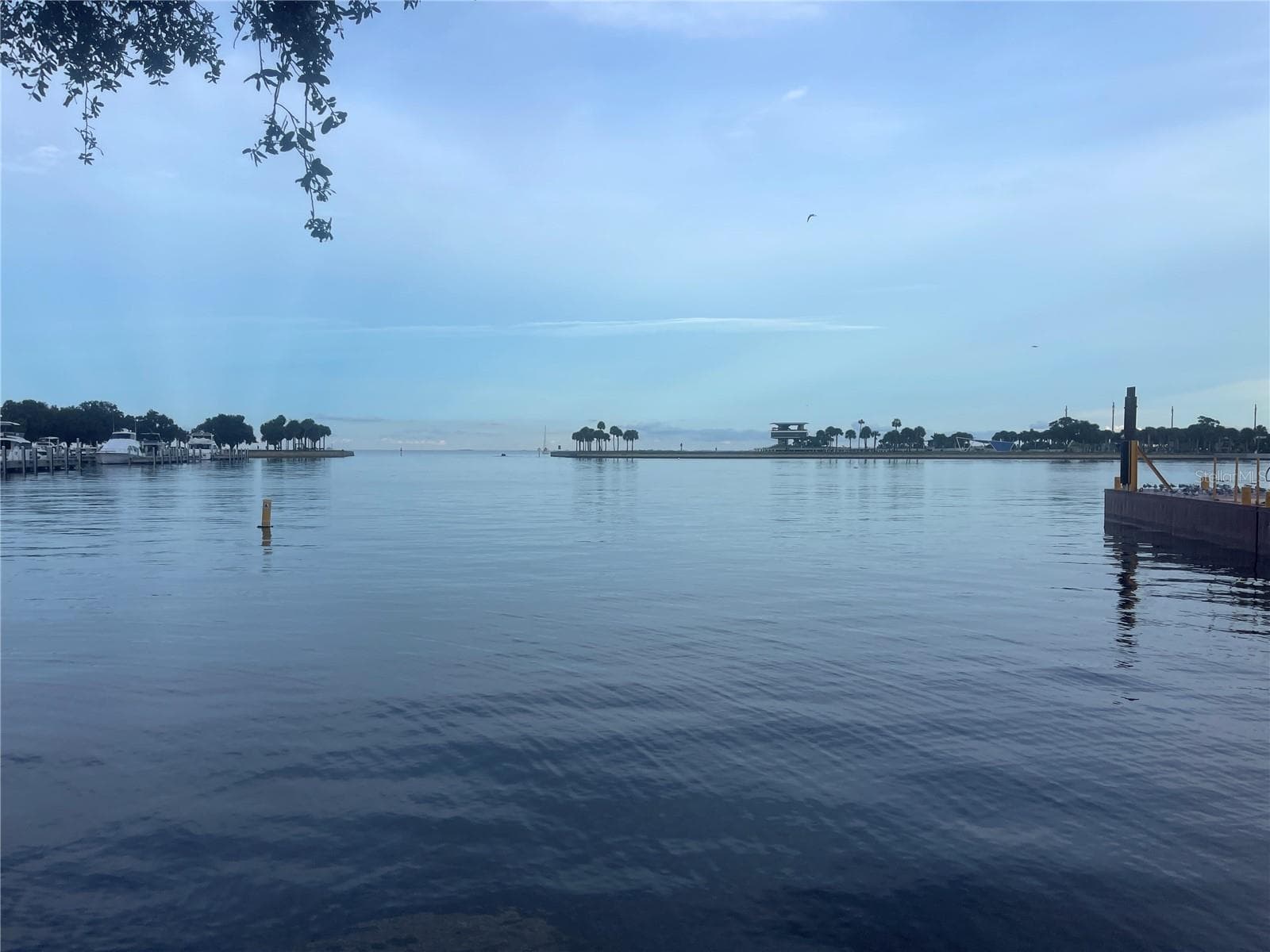 View of Tampa Bay - 1208 5TH ST S, ST PETERSBURG