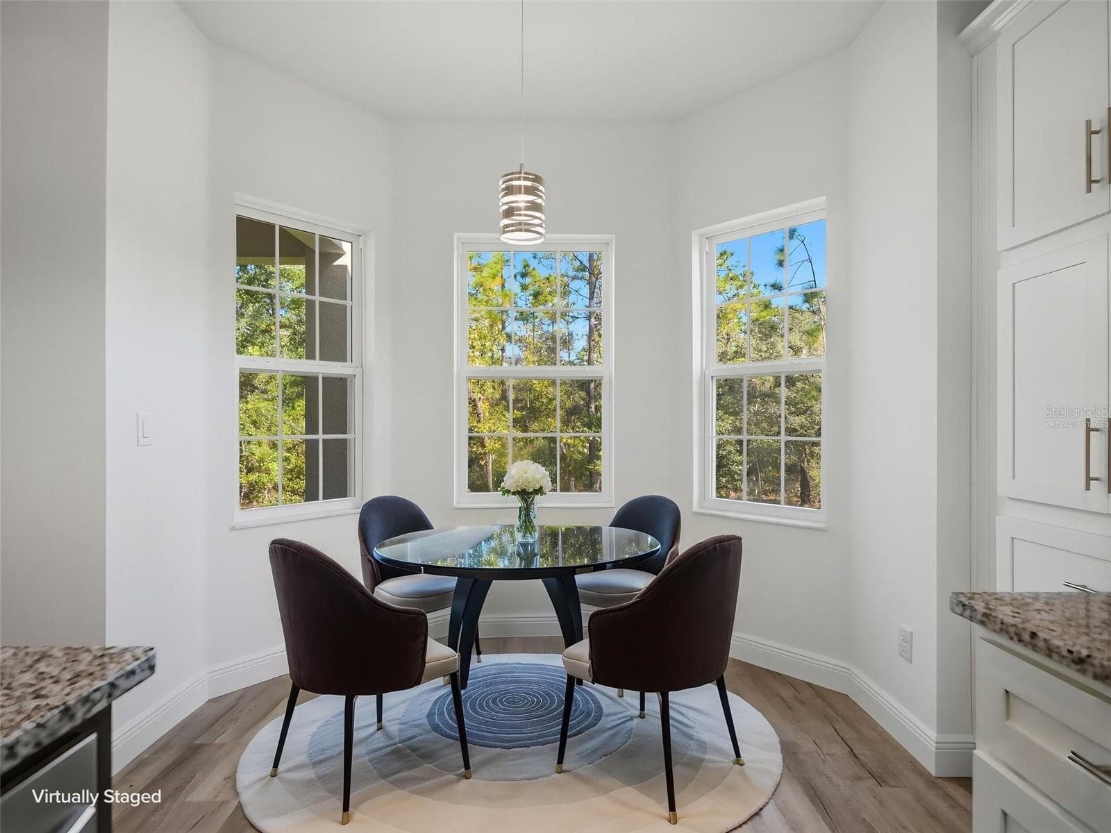 virtually staged - 13193 BARNEVELDE RD, WEEKI WACHEE