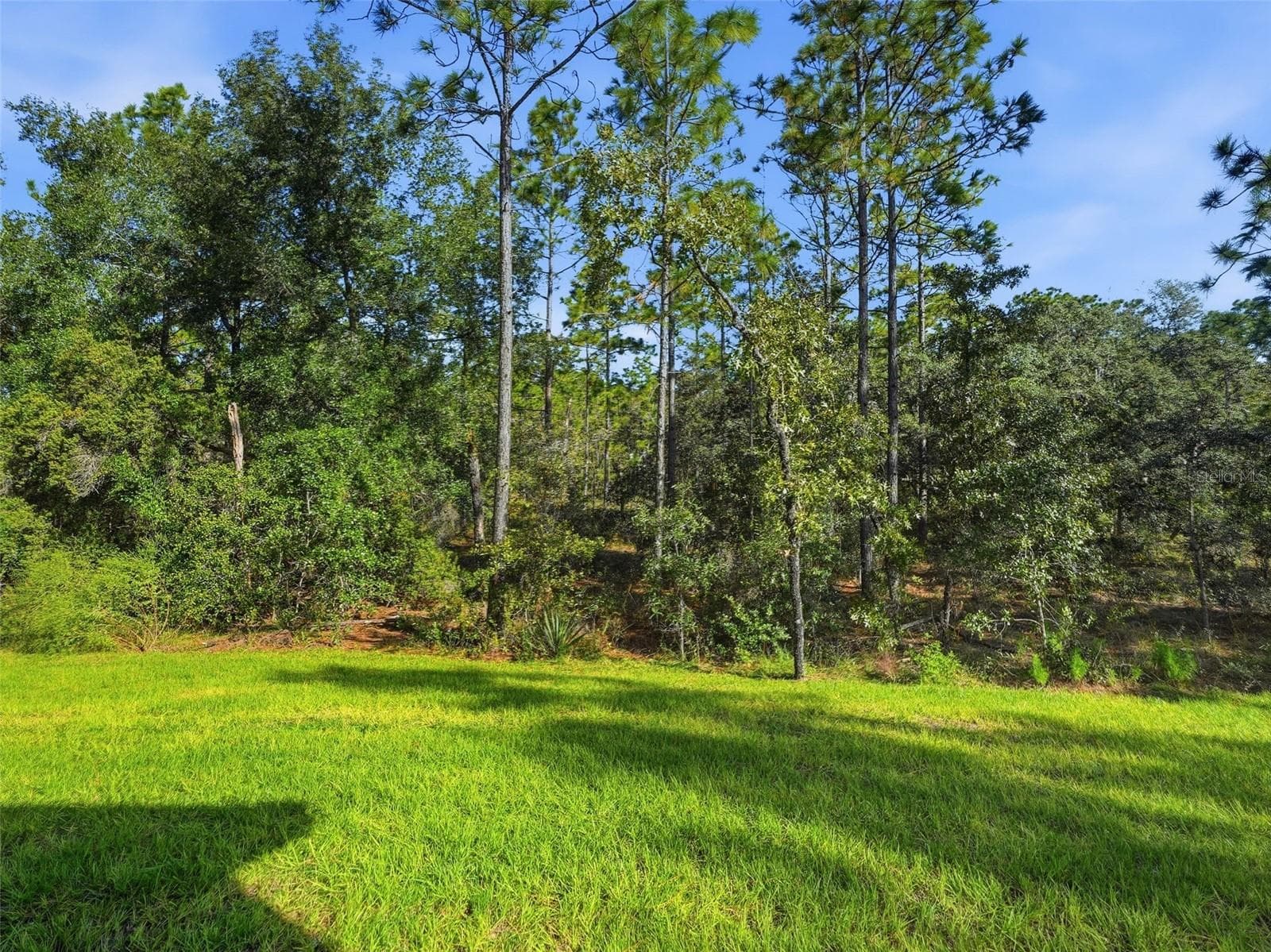 Single Family Residence at 13193 BARNEVELDE RD, WEEKI WACHEE, photo 45 of 59