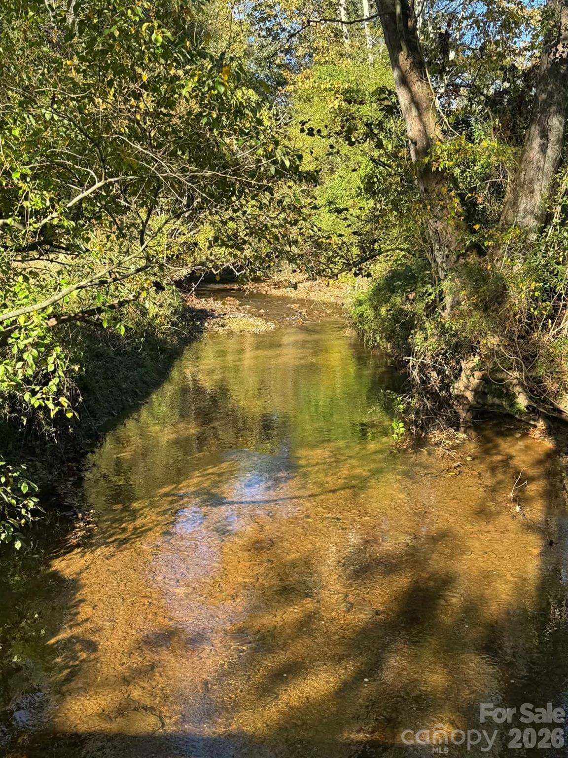 Acreage at 15.43 ac Whisper Ridge Lane, Thurmond, photo 6 of 45