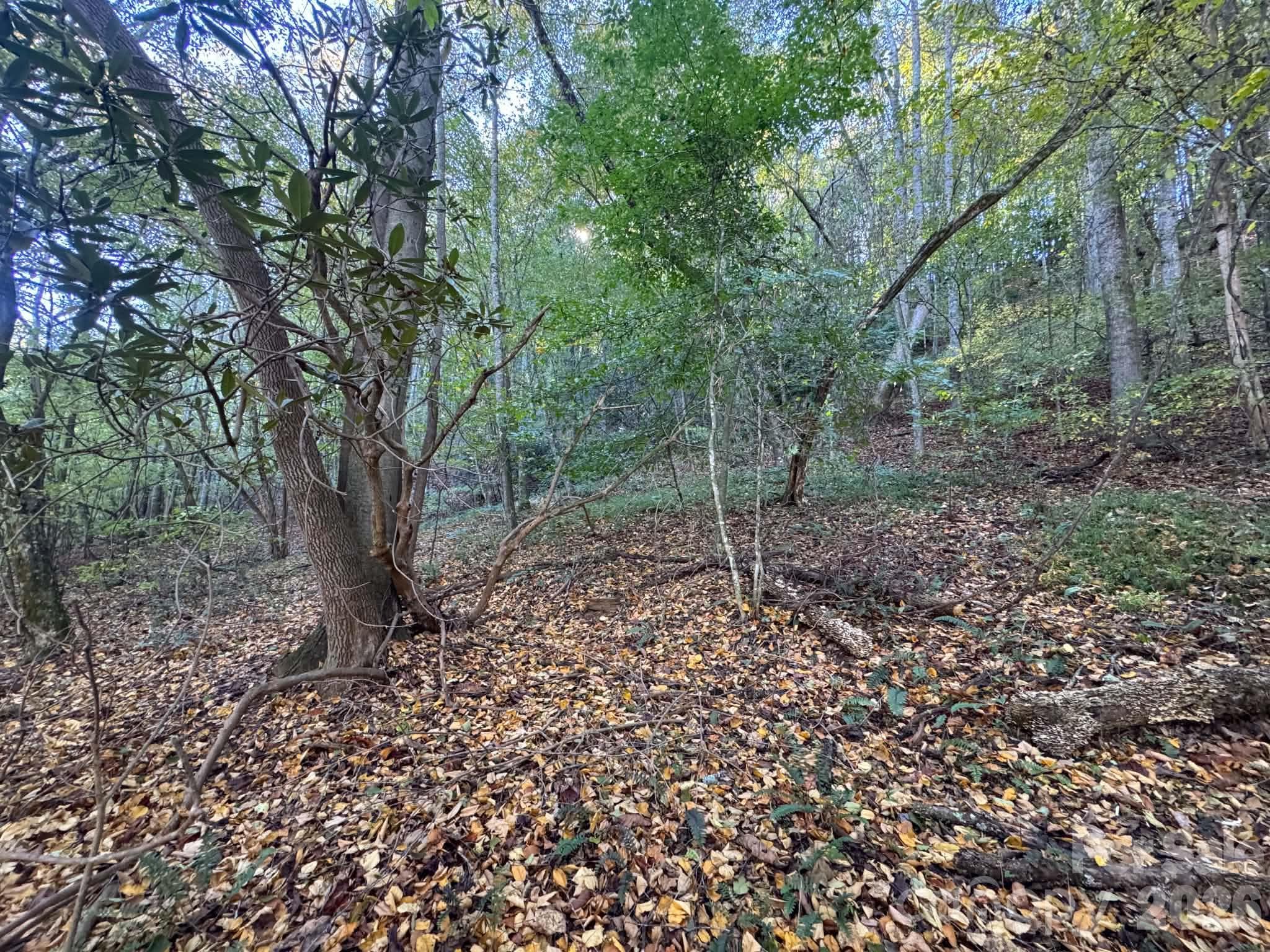 Acreage at 15.43 ac Whisper Ridge Lane, Thurmond, photo 32 of 45