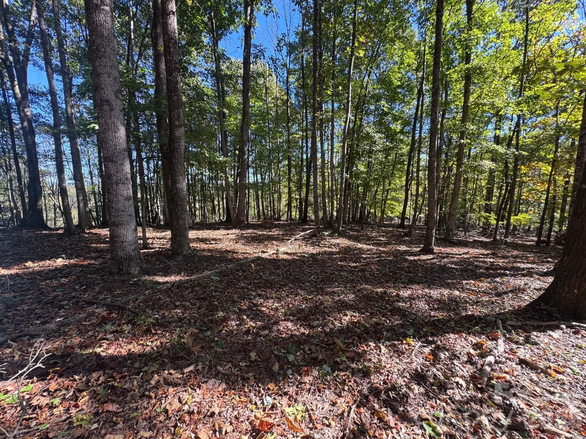 Acreage at 15.43 ac Whisper Ridge Lane, Thurmond, photo 40 of 45