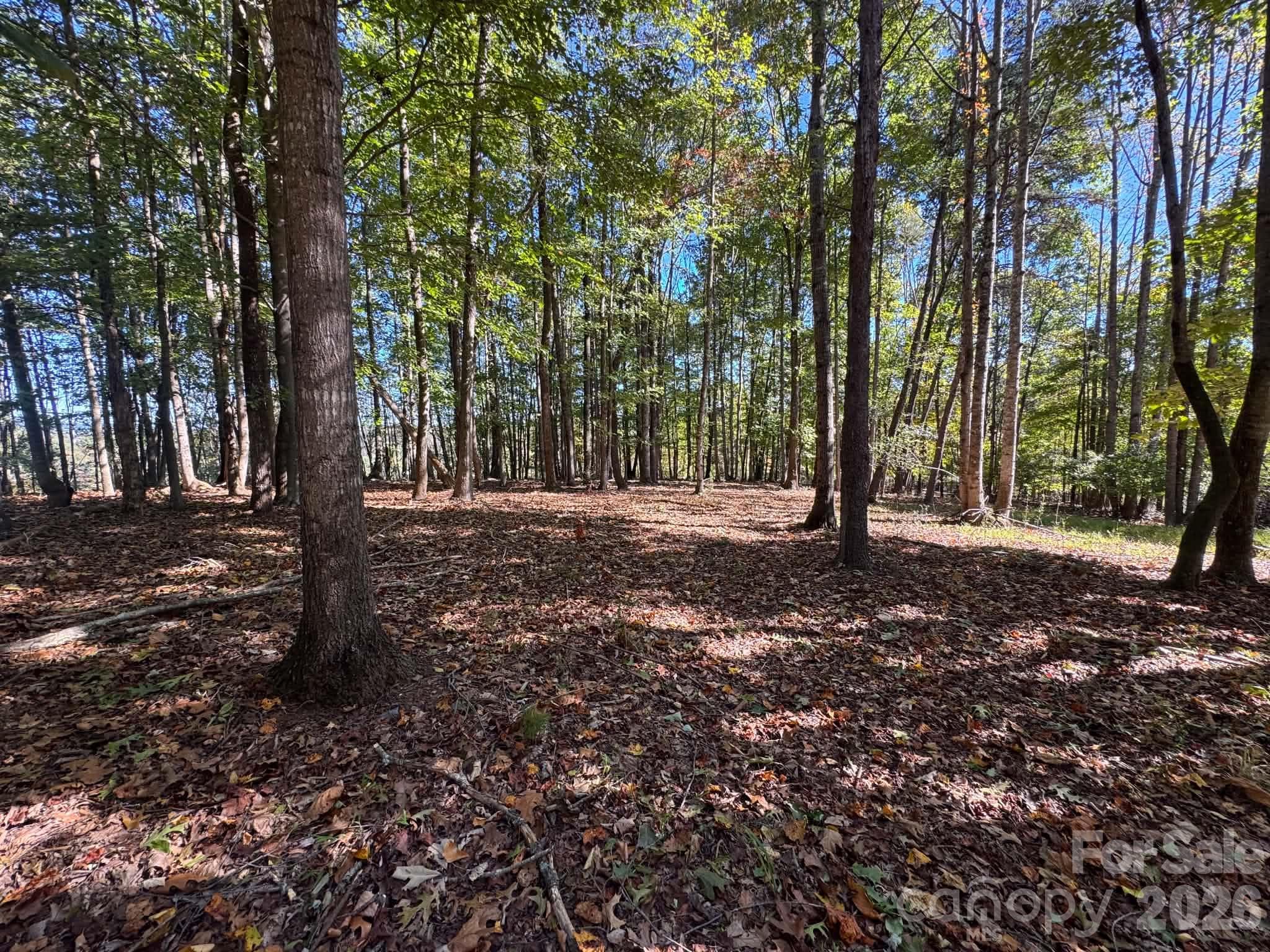 Acreage at 15.43 ac Whisper Ridge Lane, Thurmond, photo 42 of 45