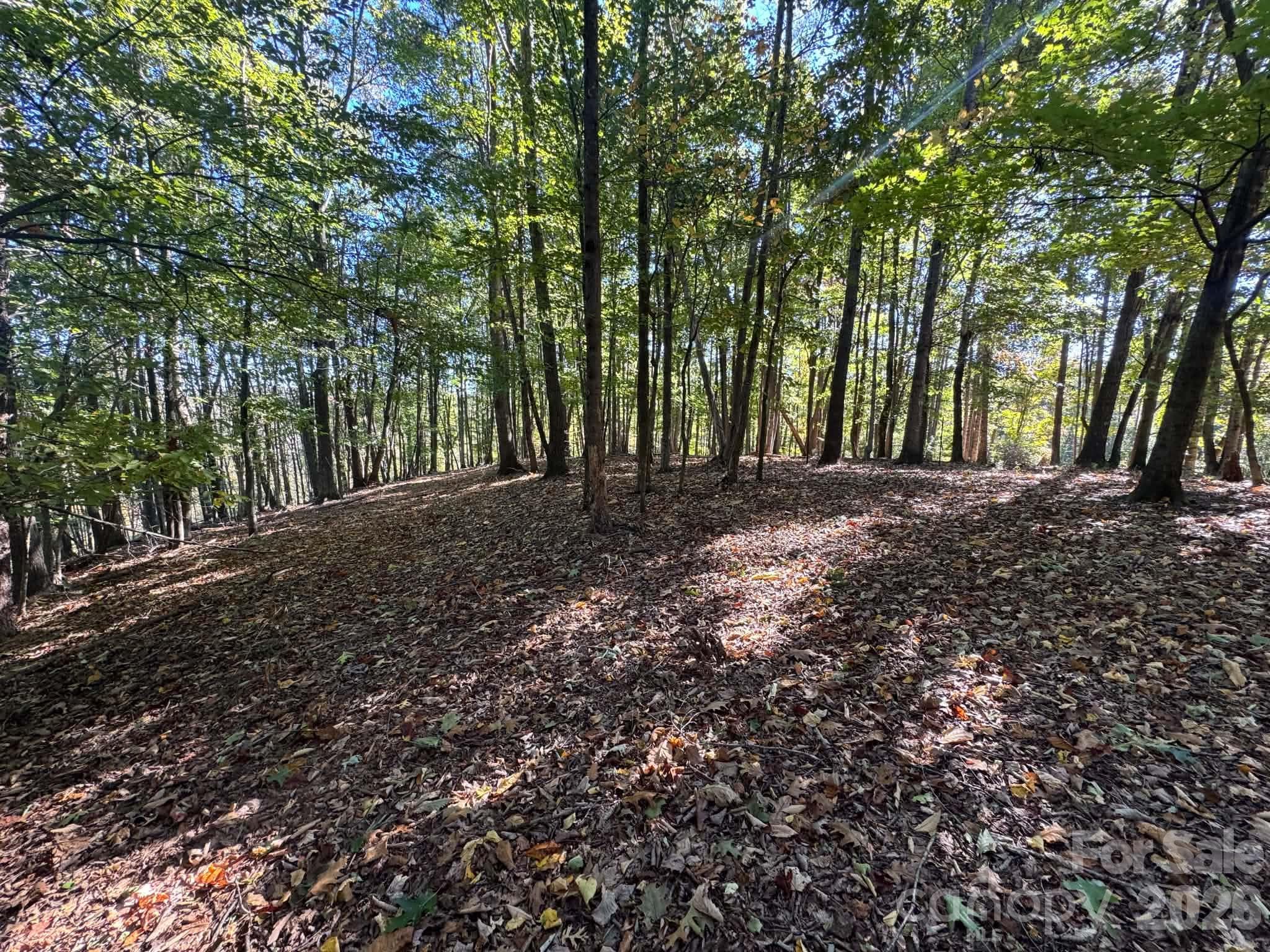 Acreage at 15.43 ac Whisper Ridge Lane, Thurmond, photo 43 of 45