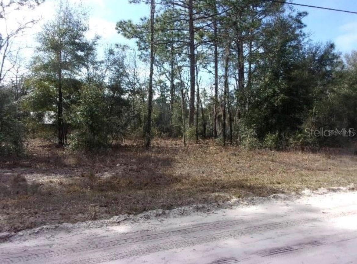 Land at SW 18TH, OCALA, photo 2 of 2
