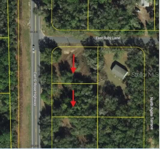 Aerial View - 5119 5152 N CARL G ROSE HWY, HERNANDO