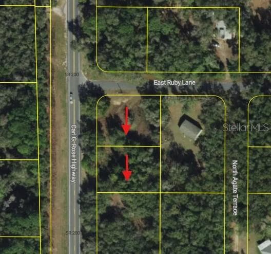 Aerial View - 5119 5152 N CARL G ROSE HWY, HERNANDO