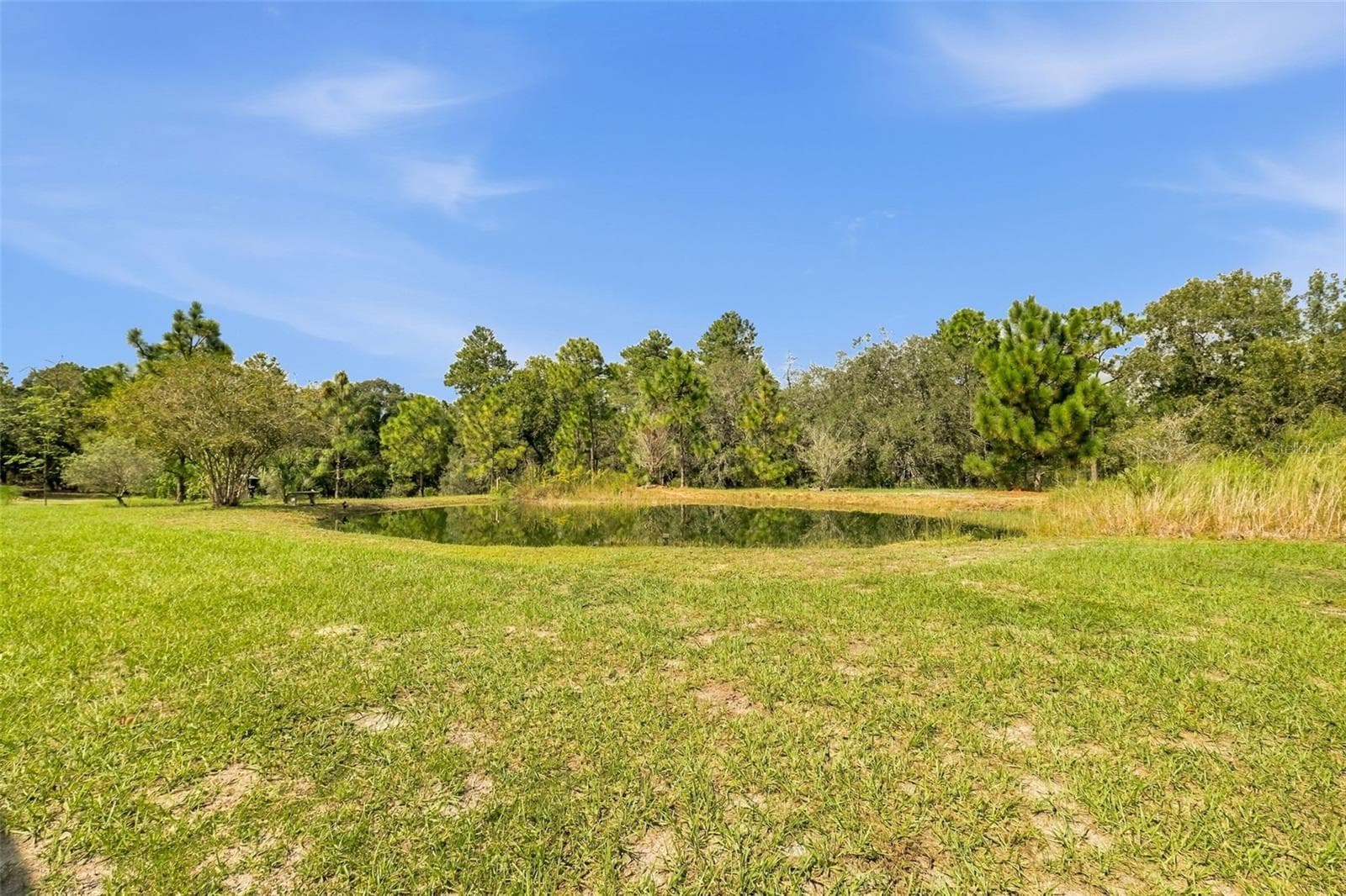 Single Family Residence at 8743 OSTROM WAY, WEEKI WACHEE, photo 80 of 99