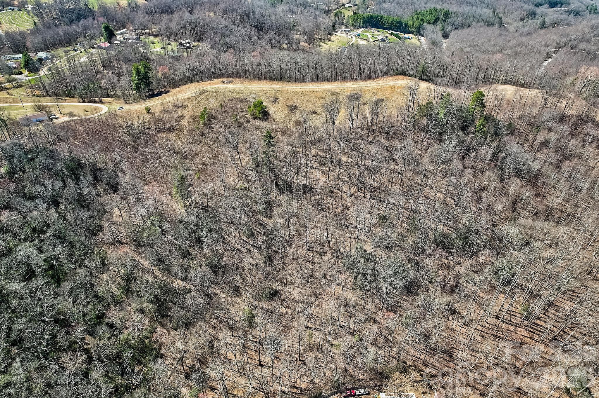 Acreage at 000 Little Creek Road, Hendersonville, photo 3 of 15