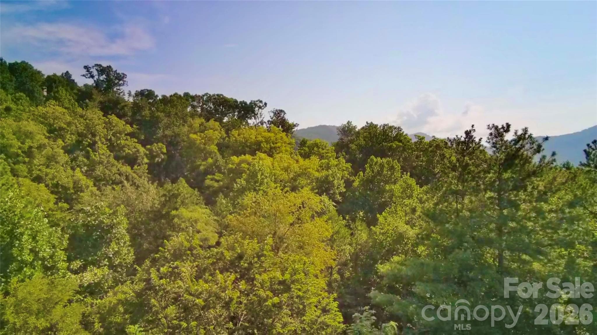 Lot at 99999 Elk Mountain Ridge, Asheville, photo 5 of 18