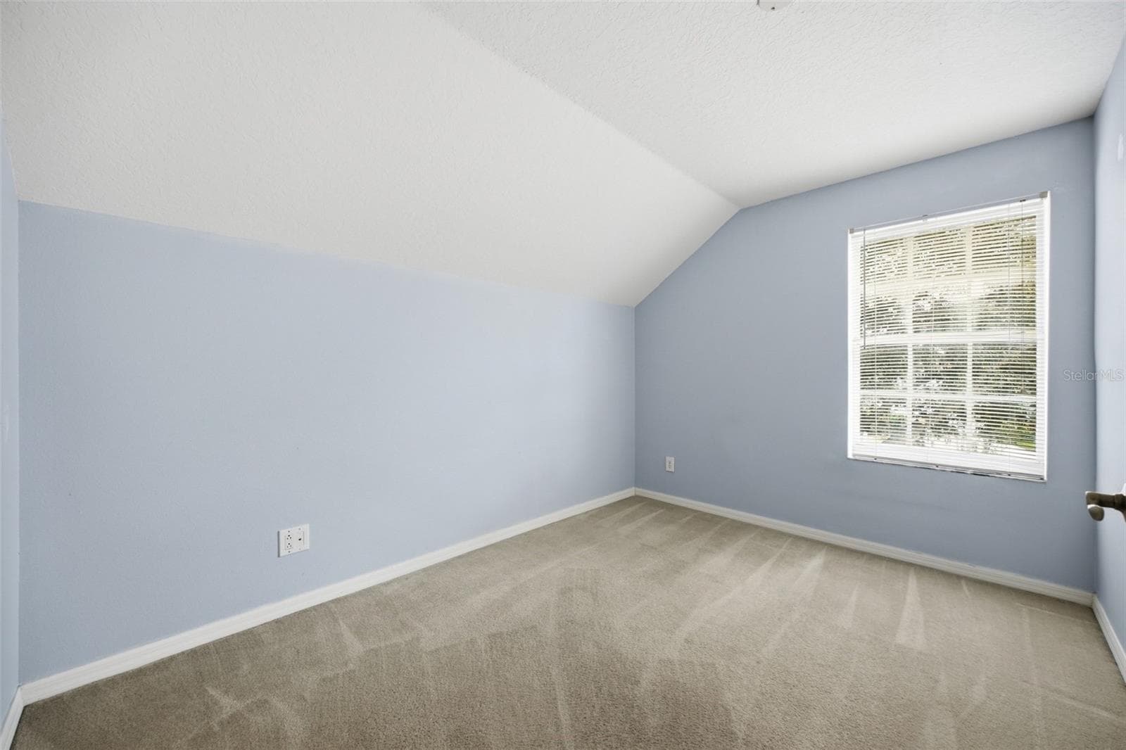 Single Family Residence at 8713 PERSEA CT, TRINITY, photo 11 of 28
