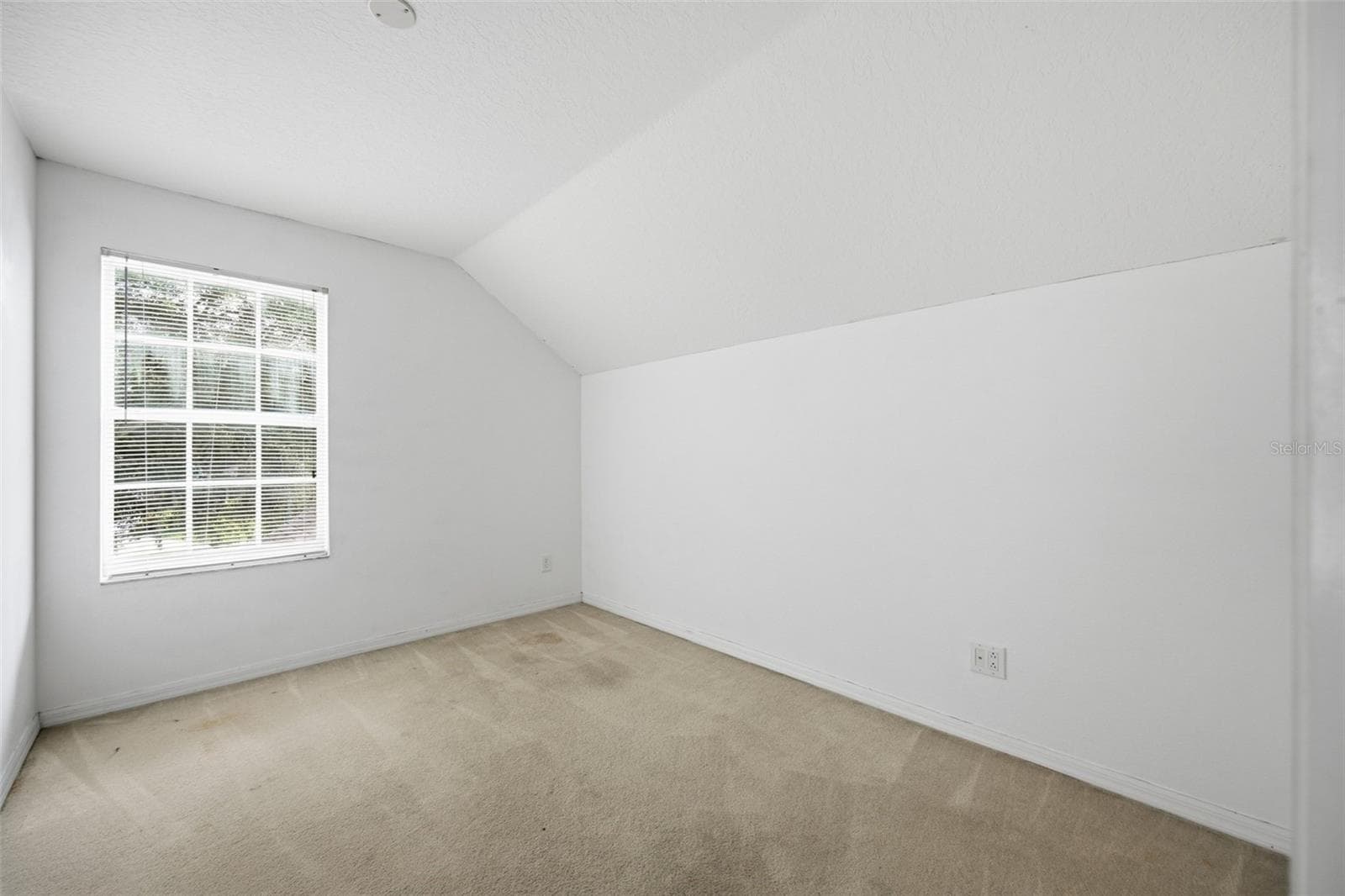 Single Family Residence at 8713 PERSEA CT, TRINITY, photo 13 of 28