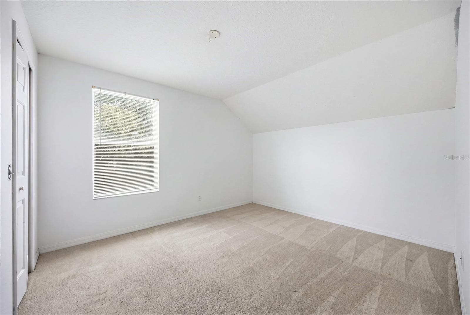 Single Family Residence at 8713 PERSEA CT, TRINITY, photo 17 of 28