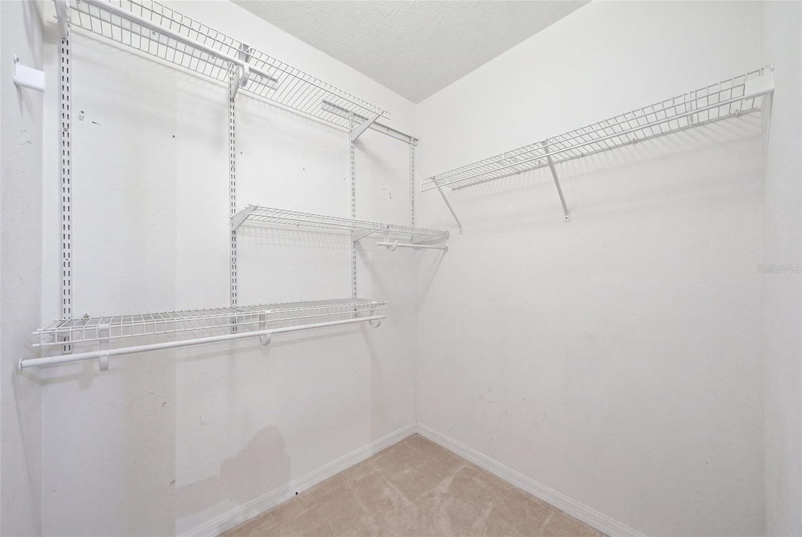 Single Family Residence at 8713 PERSEA CT, TRINITY, photo 21 of 28