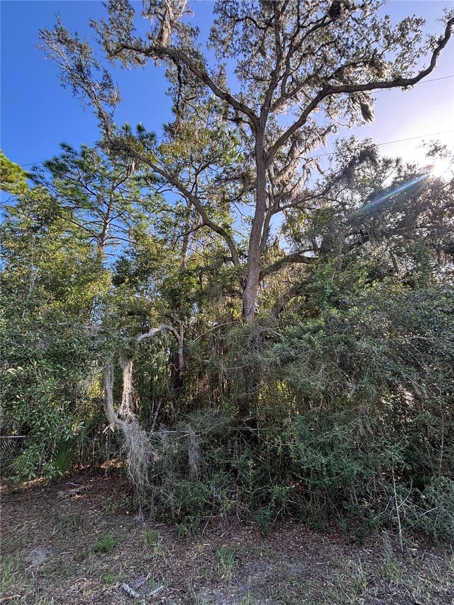 Land at 14331 SE 85TH TER, INGLIS, photo 10 of 14