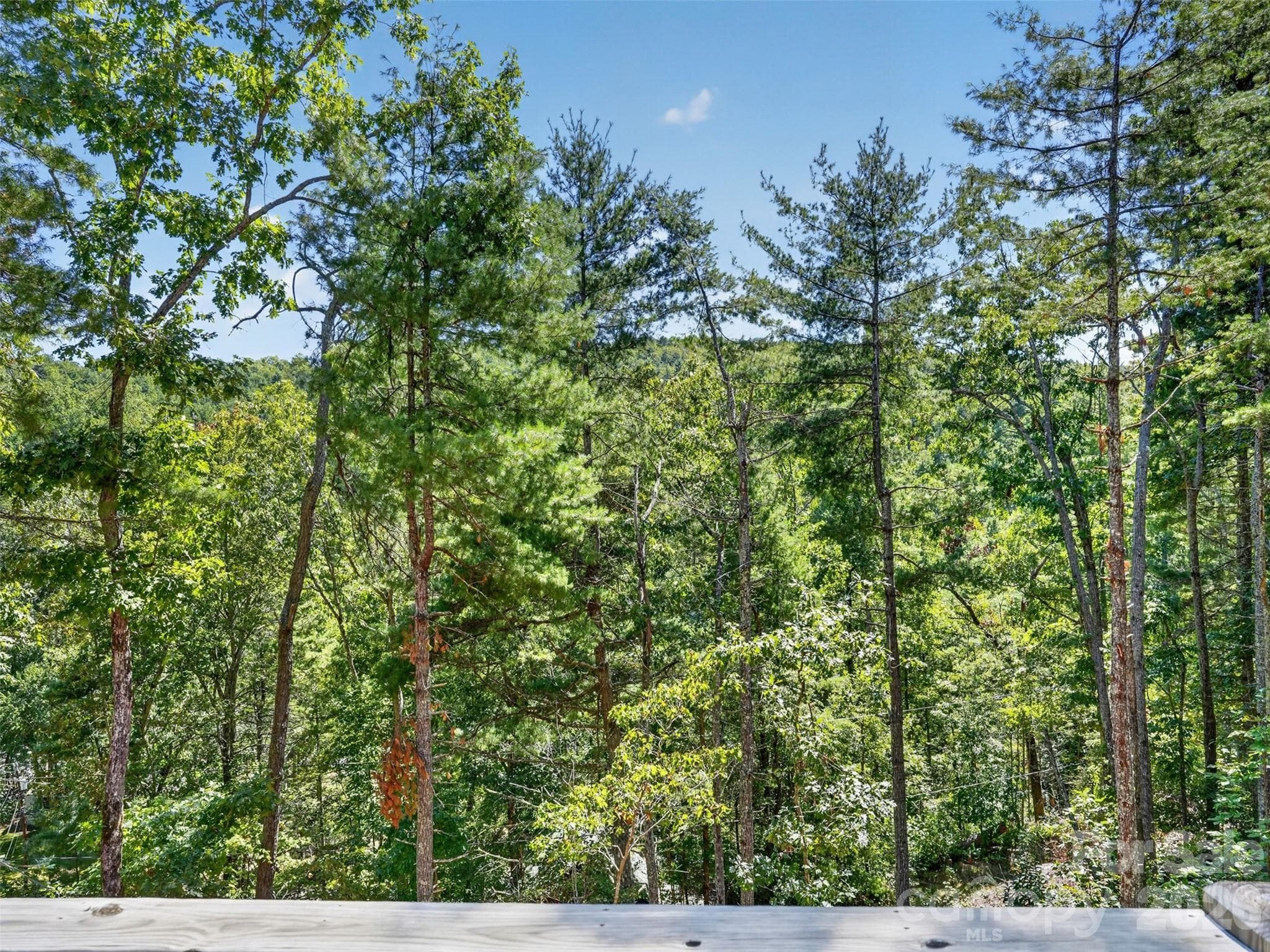 Single Family Residence at 594 McMillan Drive, Hendersonville, photo 25 of 46