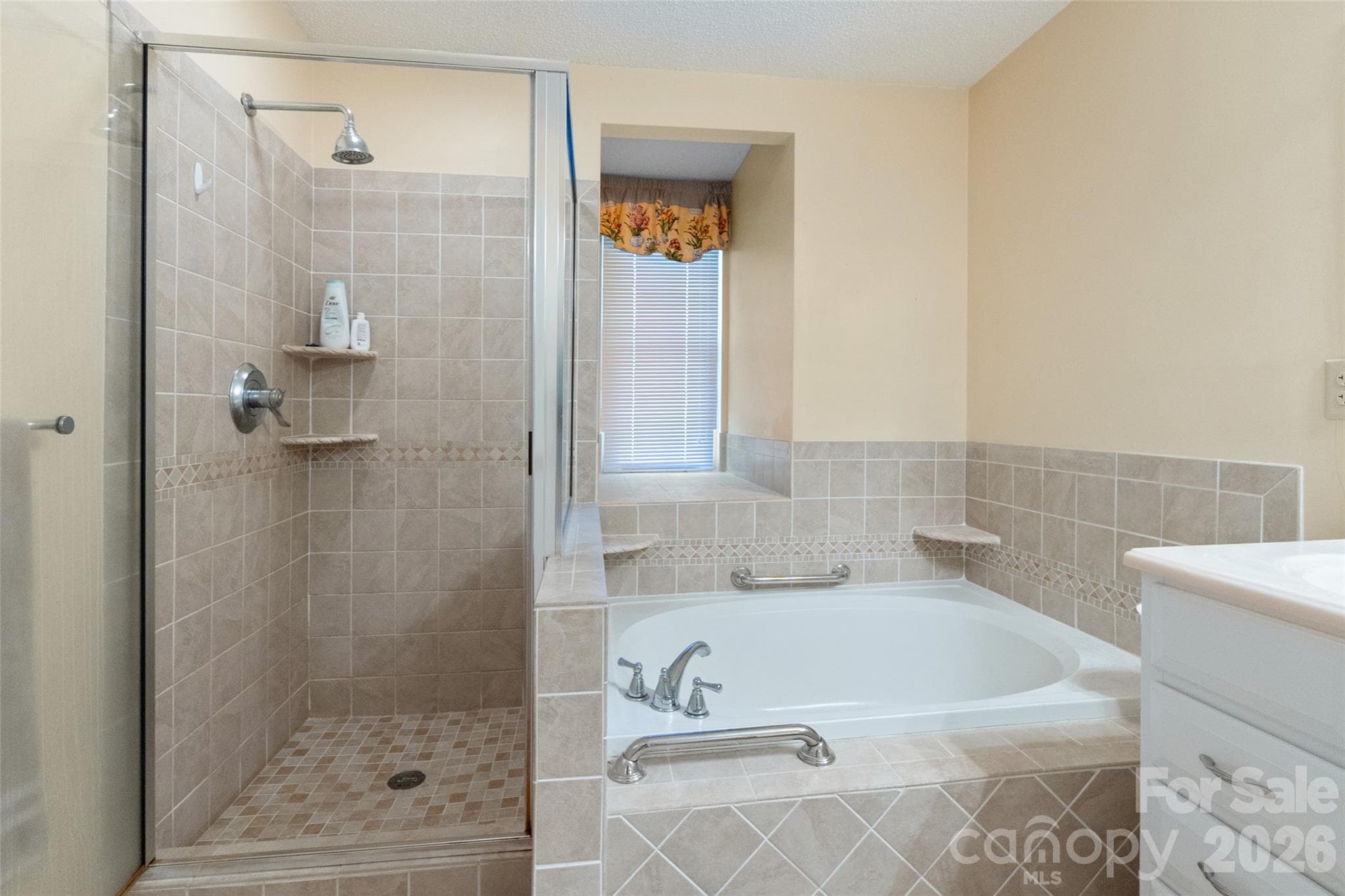 Single Family Residence at 10913 Lassen Court, Charlotte, photo 24 of 40