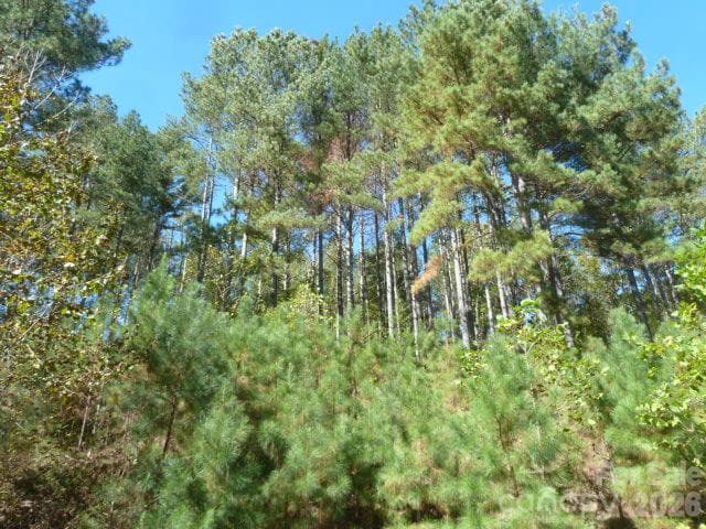 Above lower grade - 144 Table Rock Trace NW, Valdese