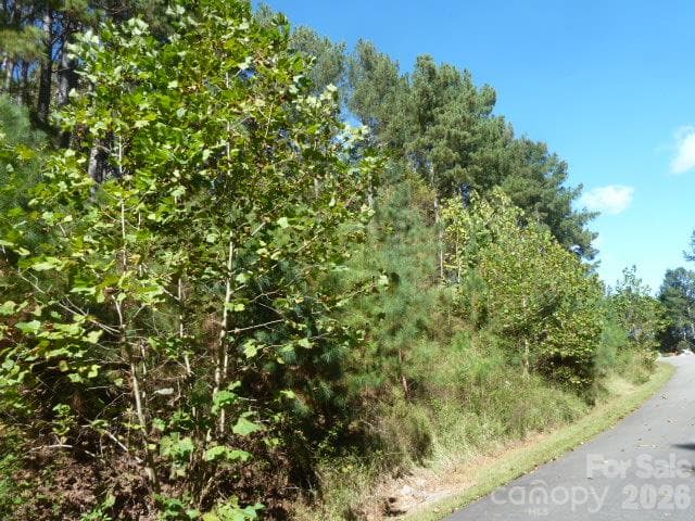 Lot - 144 Table Rock Trace NW, Valdese