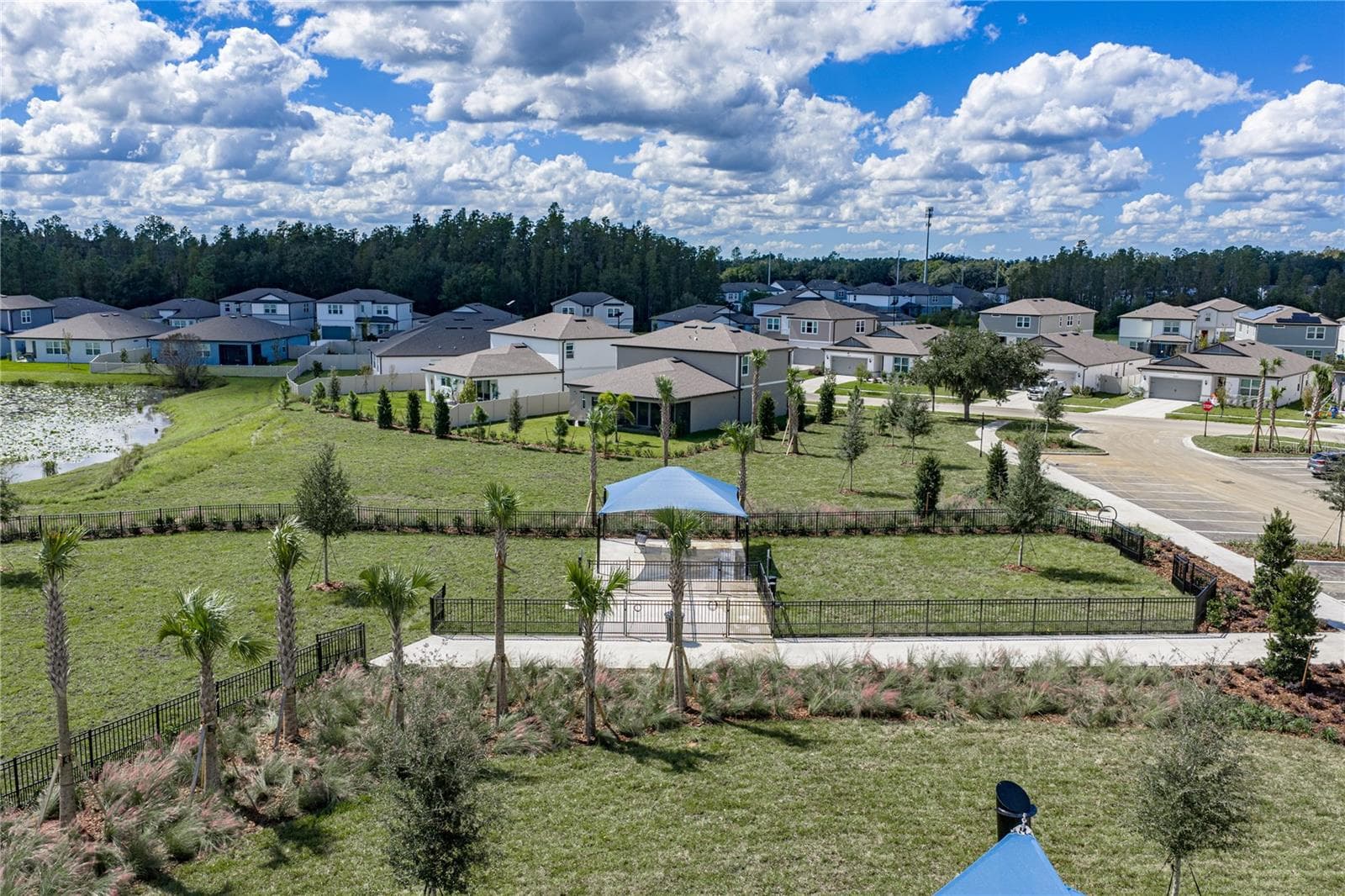 Community Large and Small Dog Dog Parks - 1076 KISTNA DR, ZEPHYRHILLS