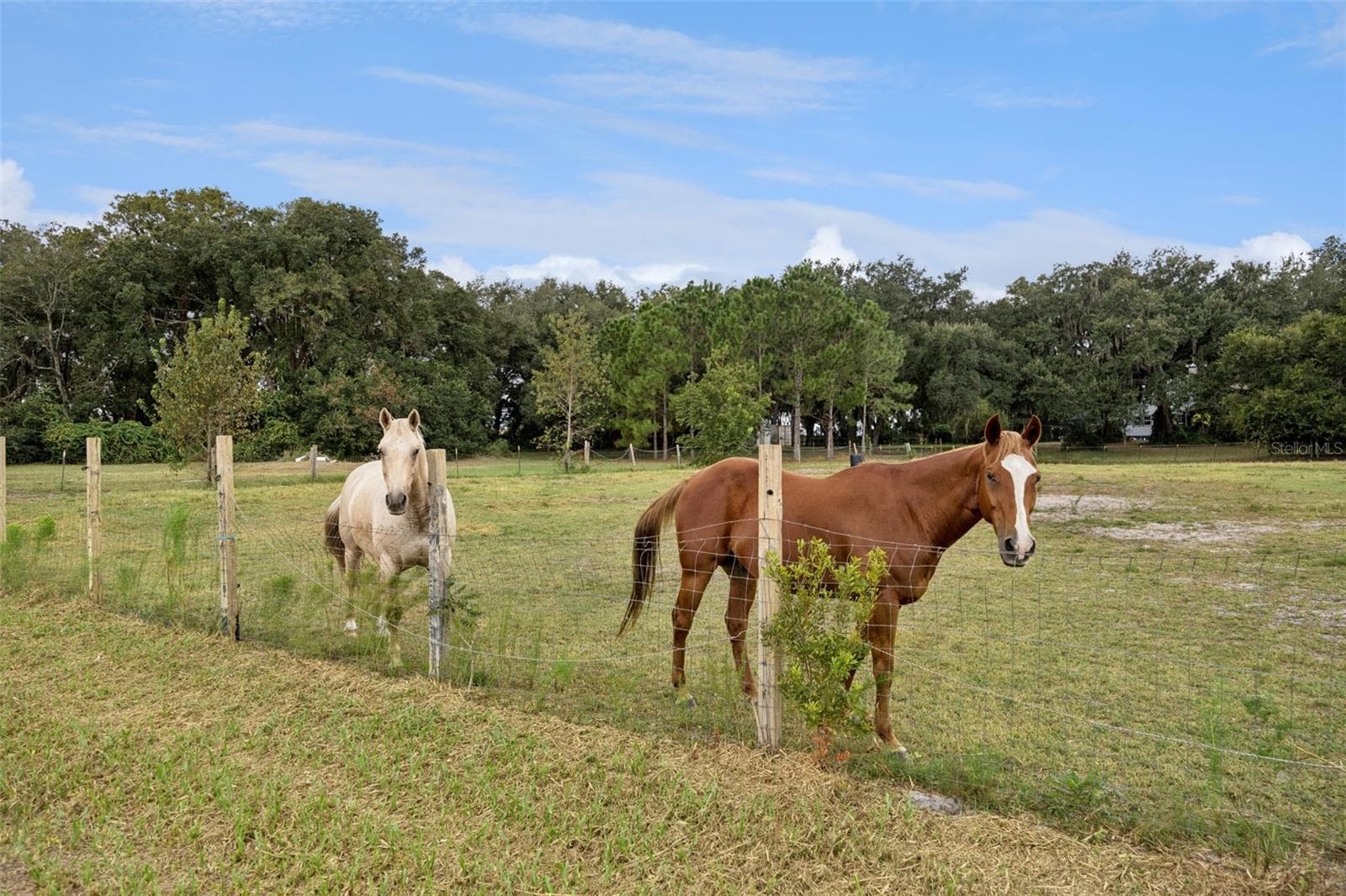 Single Family Residence at 18900 LAKEVIEW DR, CLERMONT, photo 52 of 69