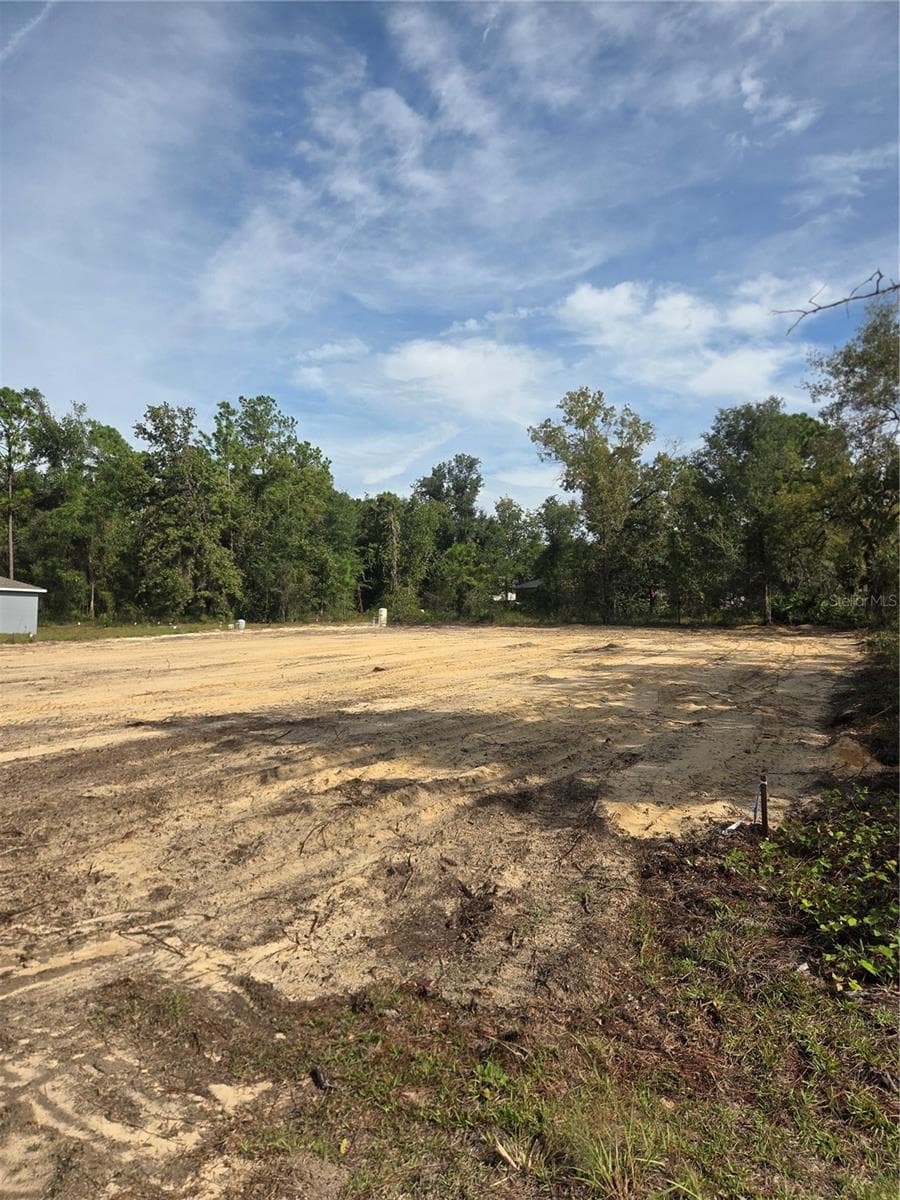 Land at 16016 SHELDRAKE LOOP, WEEKI WACHEE, photo 4 of 6