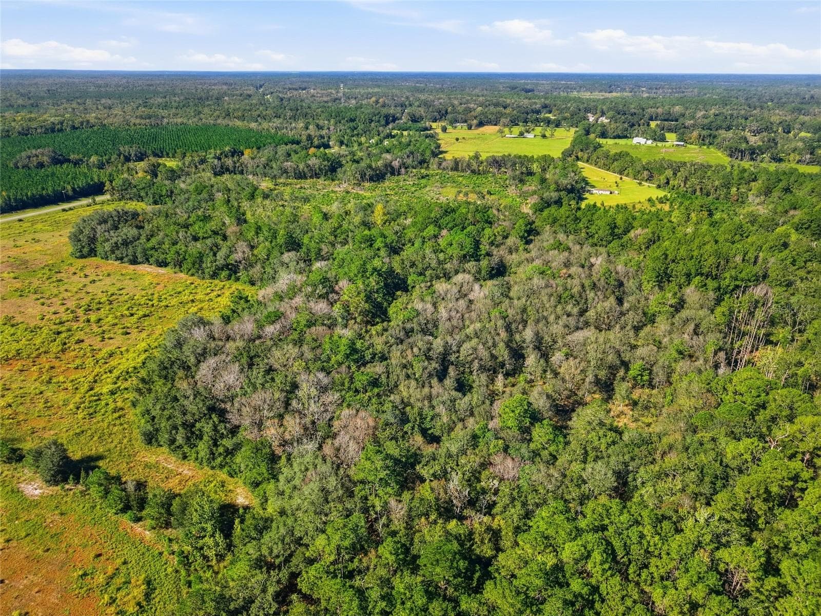 Land at 4408 W STATE ROAD 235, LA CROSSE, photo 9 of 15