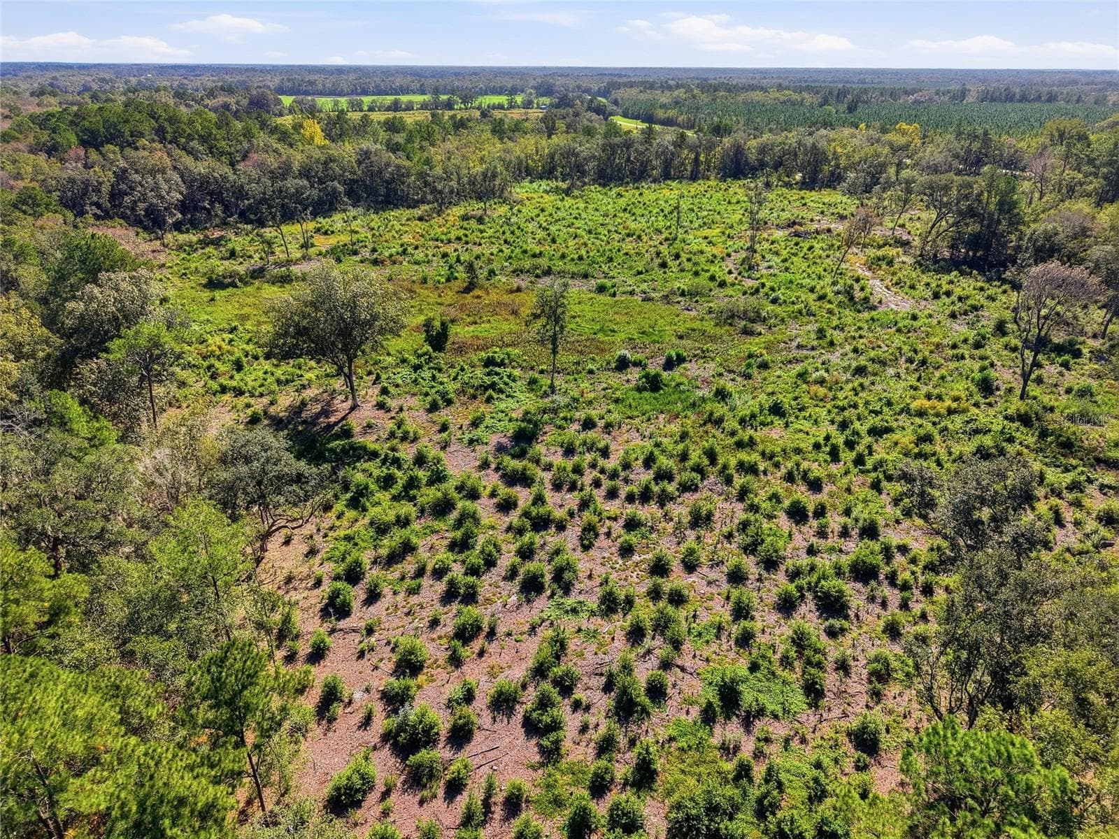 Land at 4408 W STATE ROAD 235, LA CROSSE, photo 10 of 15