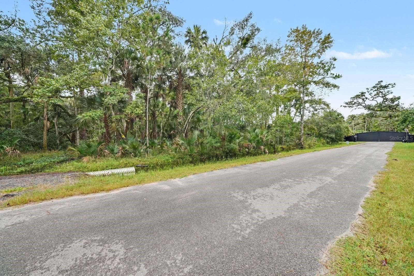 Land at 1215 TALL PINES DR, OSTEEN, photo 4 of 4