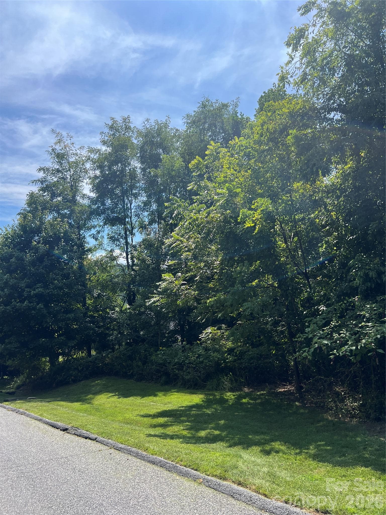 Lot at 0000 Ladys Fern Trail, Hendersonville, photo 4 of 10