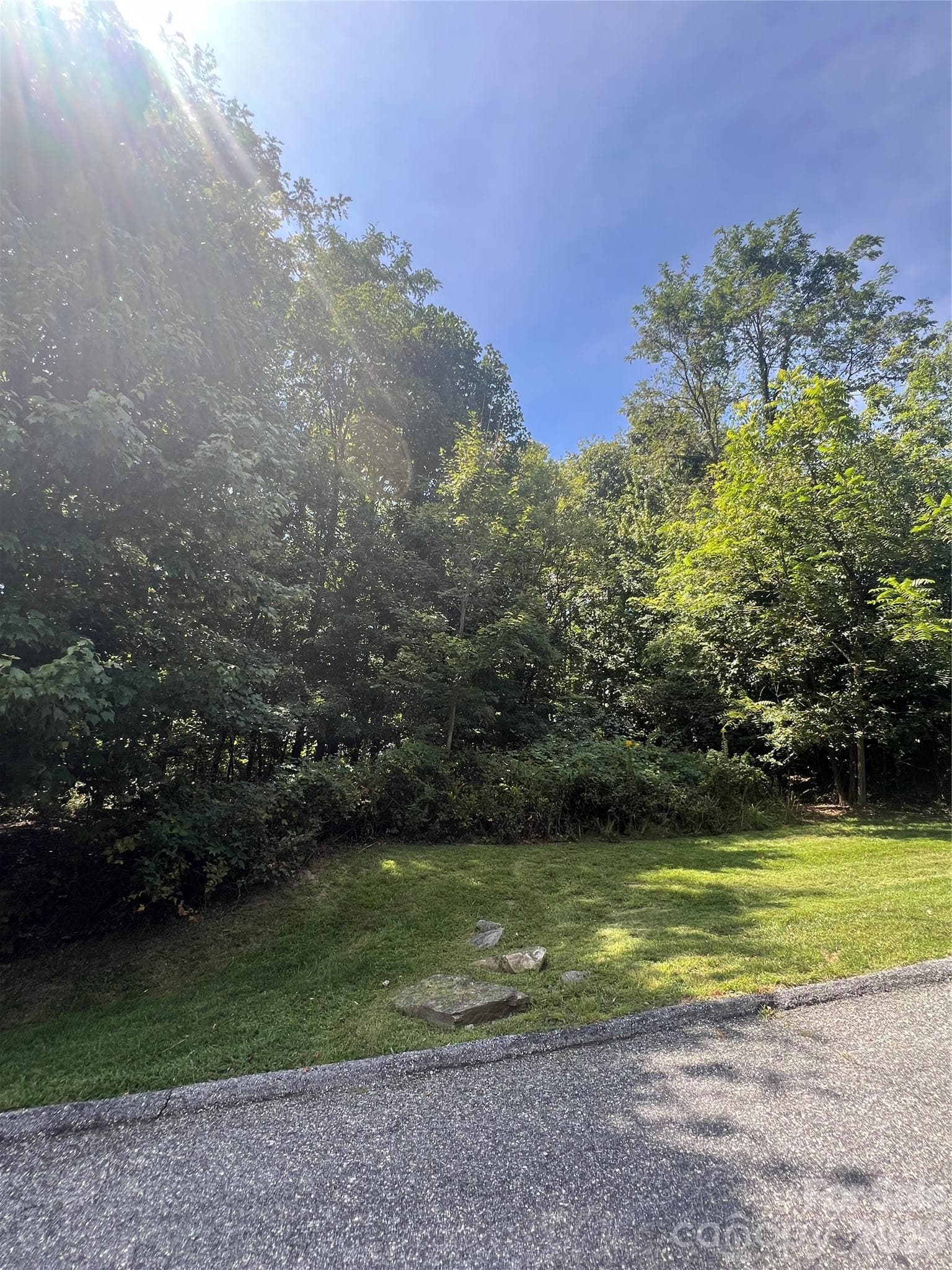 Lot at 0000 Ladys Fern Trail, Hendersonville, photo 5 of 10