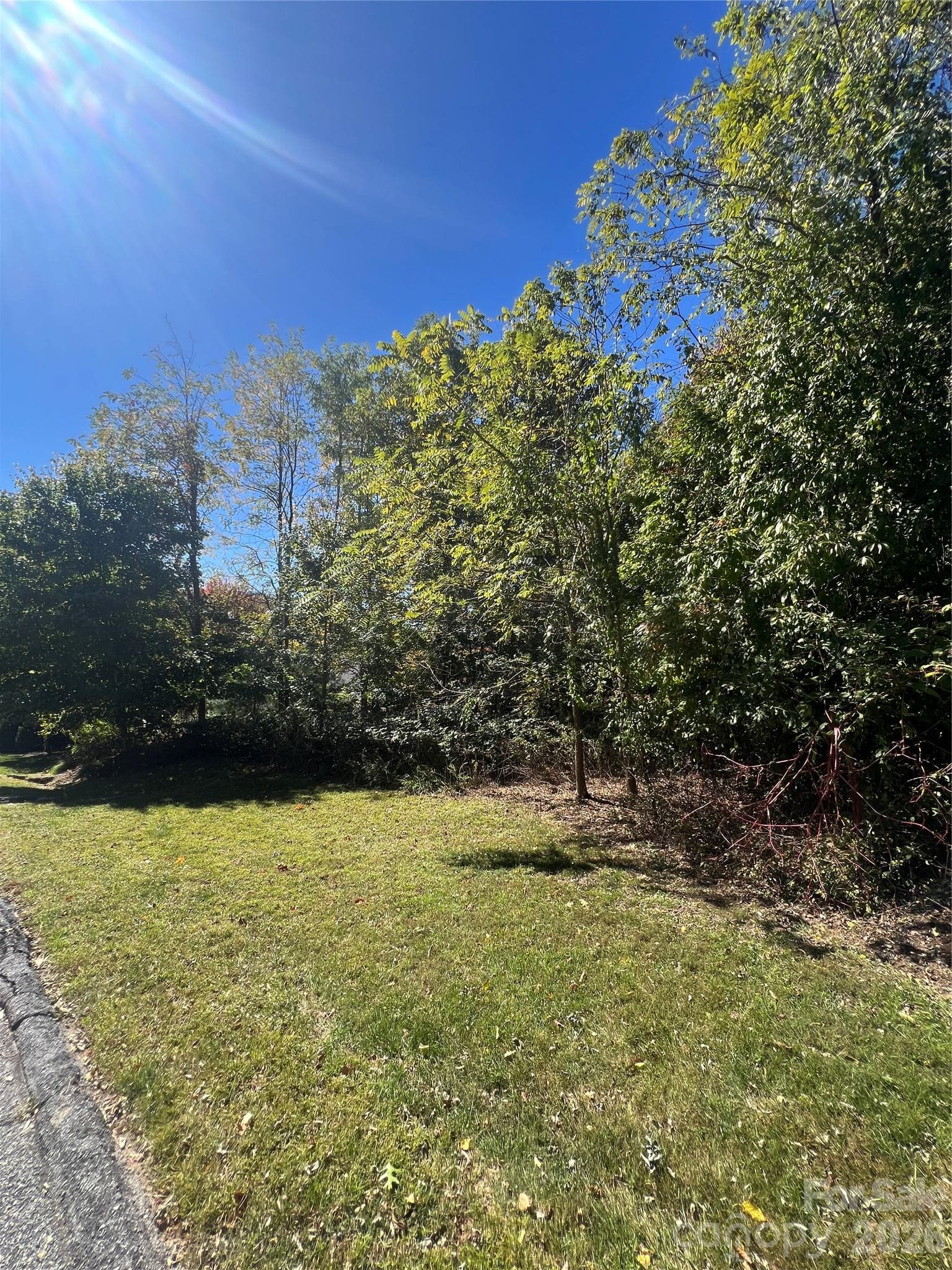Lot at 0000 Ladys Fern Trail, Hendersonville, photo 6 of 10