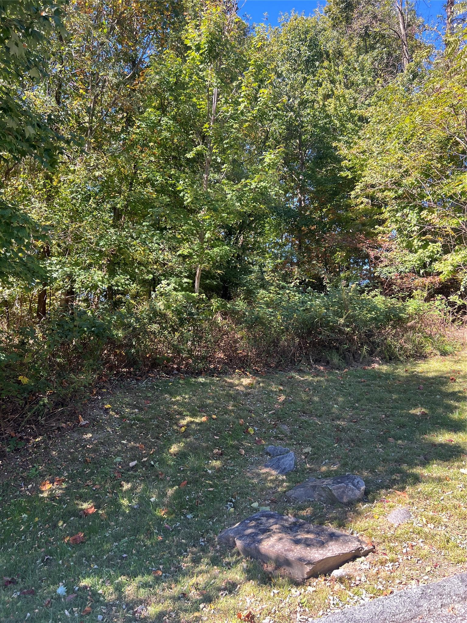 Lot at 0000 Ladys Fern Trail, Hendersonville, photo 7 of 10