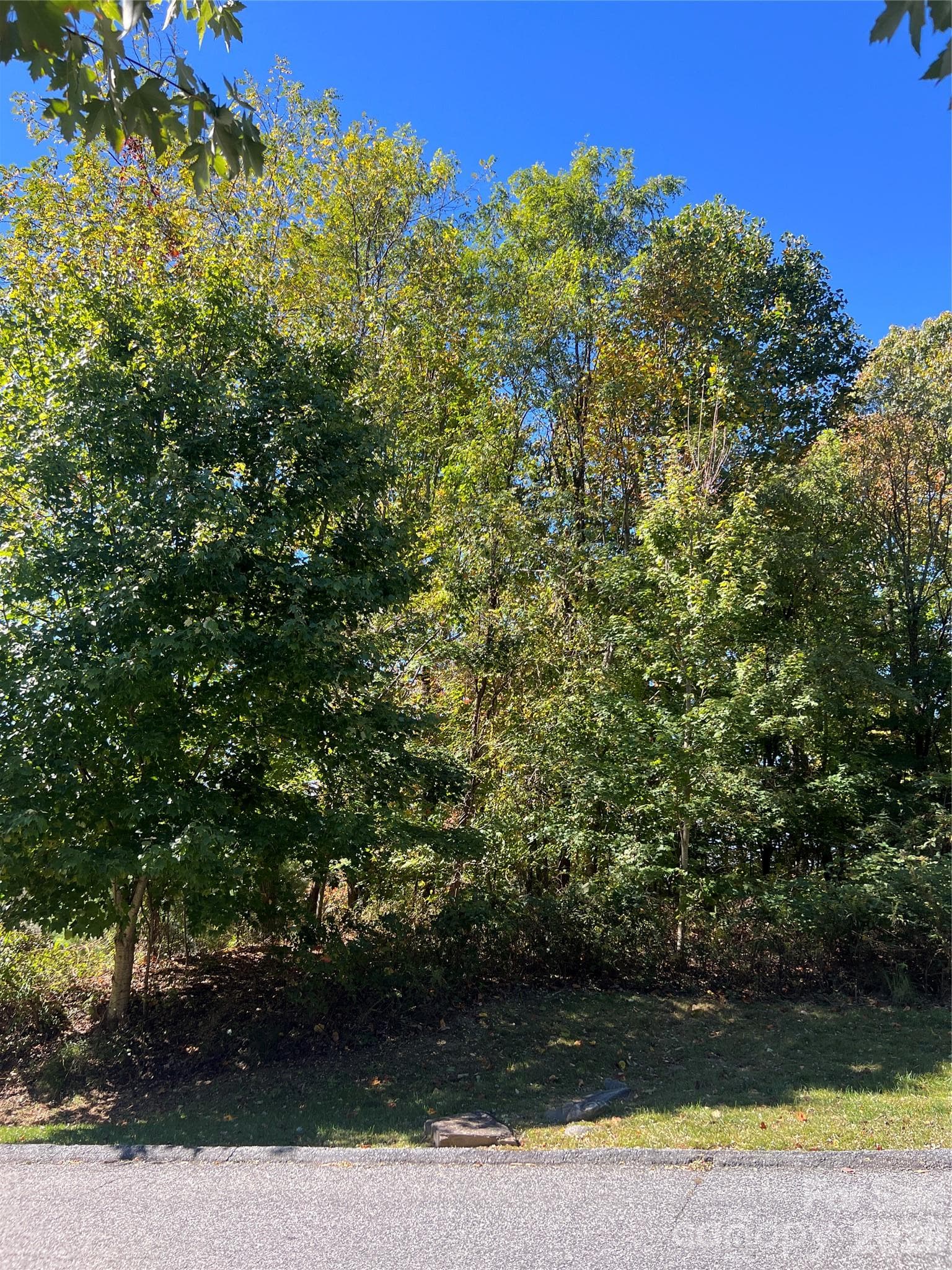 Lot at 0000 Ladys Fern Trail, Hendersonville, photo 8 of 10
