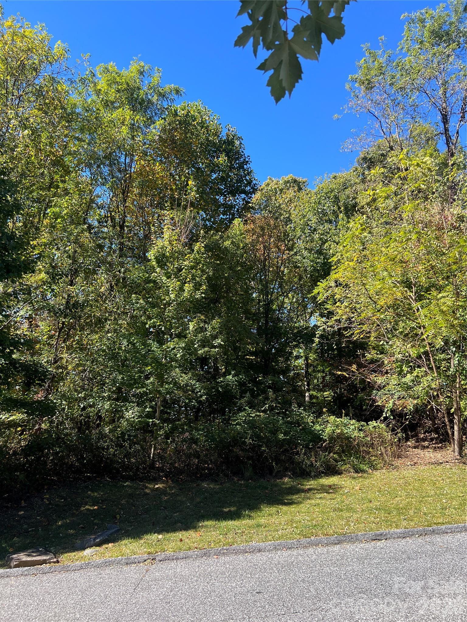 Lot at 0000 Ladys Fern Trail, Hendersonville, photo 9 of 10
