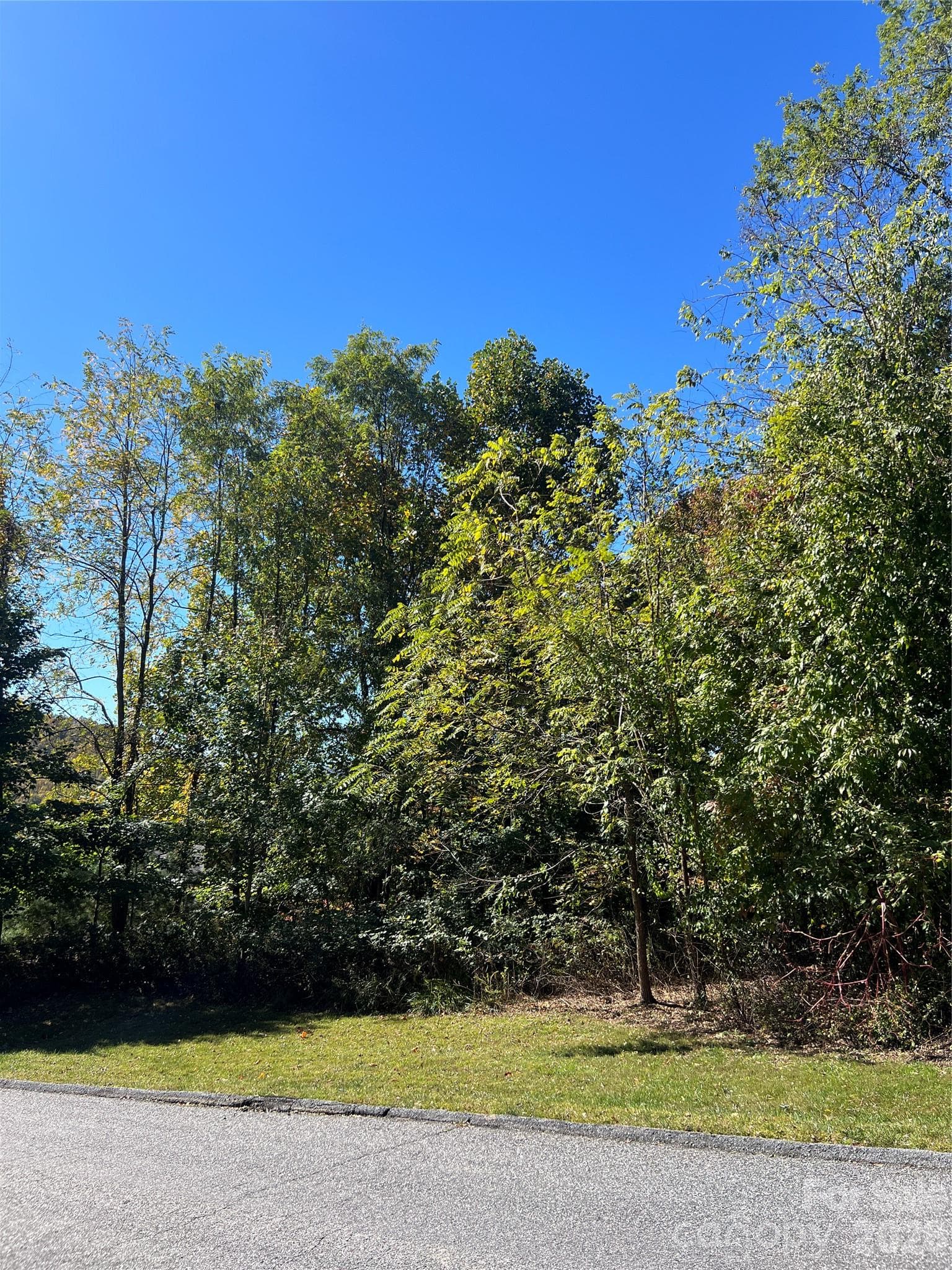 Lot at 0000 Ladys Fern Trail, Hendersonville, photo 10 of 10