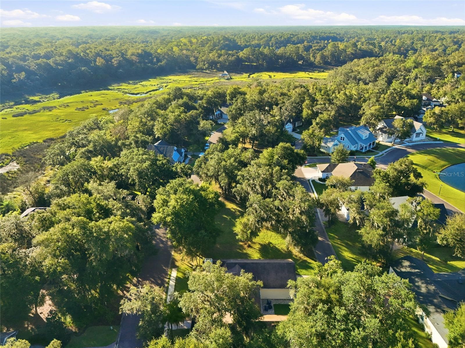 Land at 29023 GRANDVIEW MNR, YULEE, photo 3 of 25