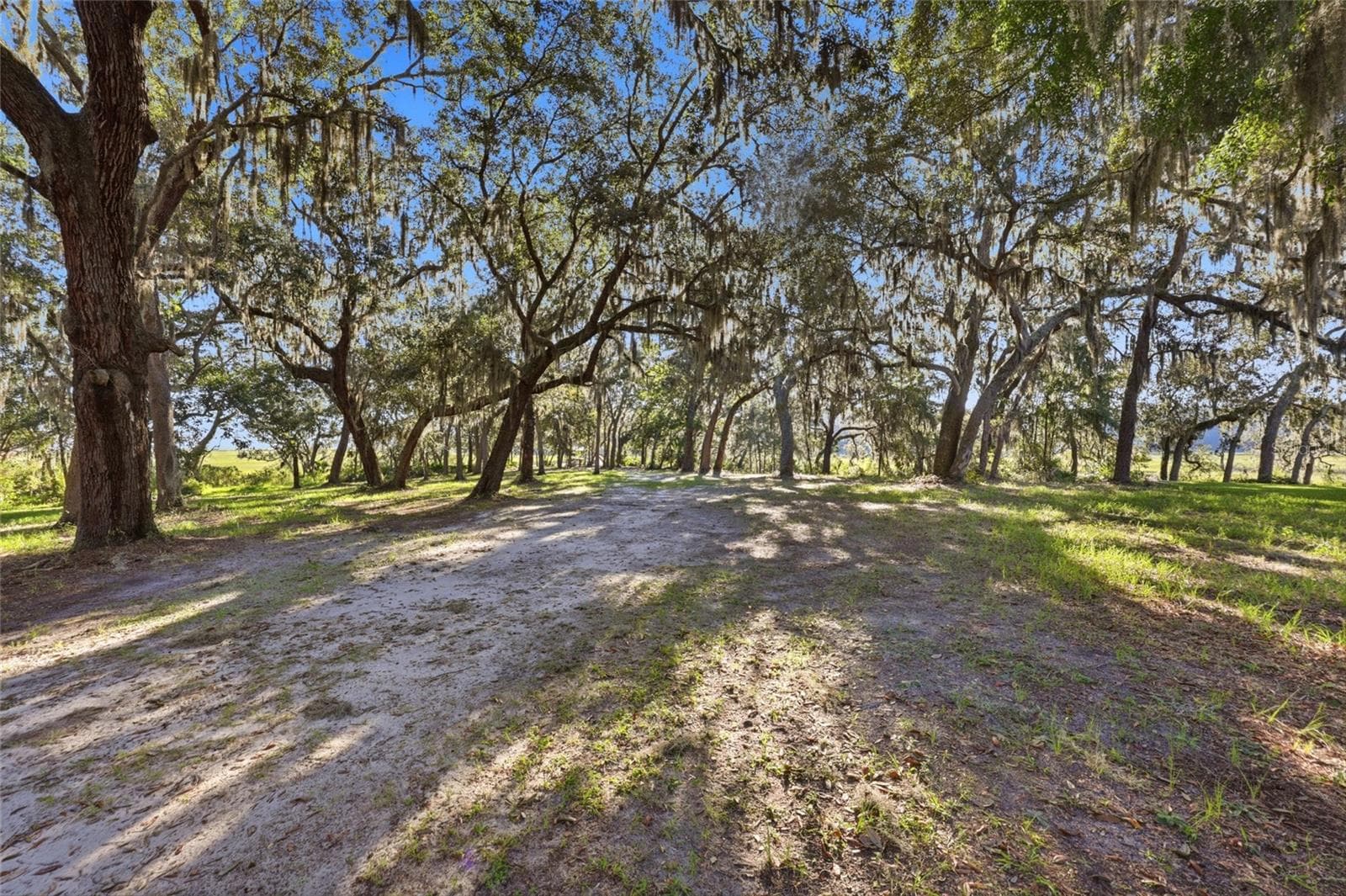 Land at 29023 GRANDVIEW MNR, YULEE, photo 11 of 25
