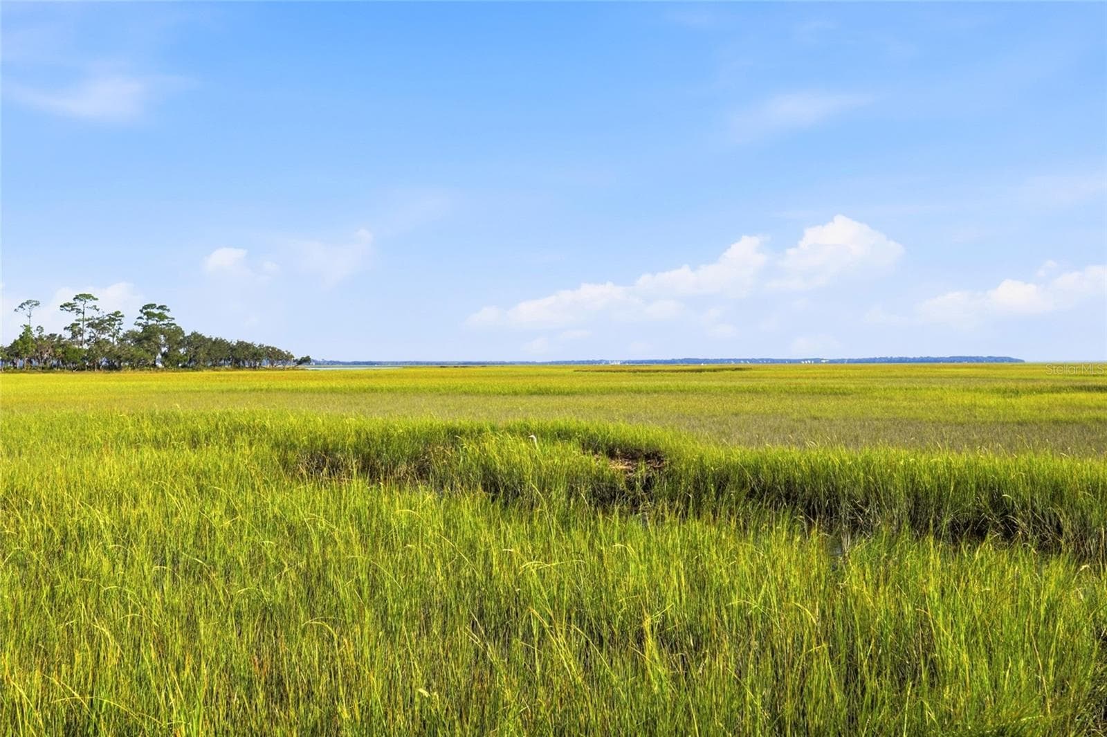 Land at 29023 GRANDVIEW MNR, YULEE, photo 15 of 25